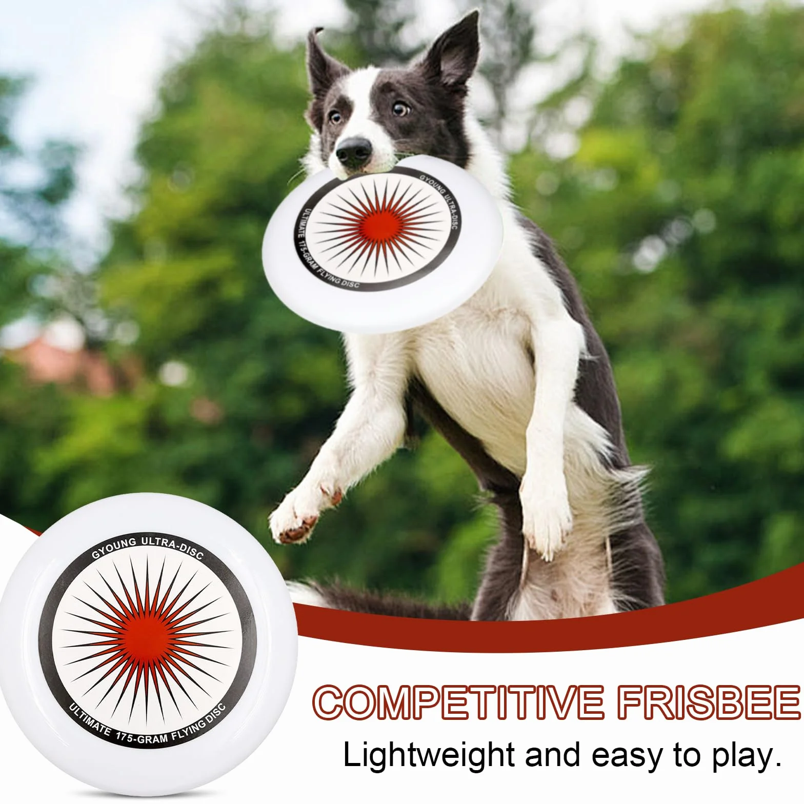 Frisbee competitivo 175g Ultimate professionale all'aperto con borsa di stoccaggio