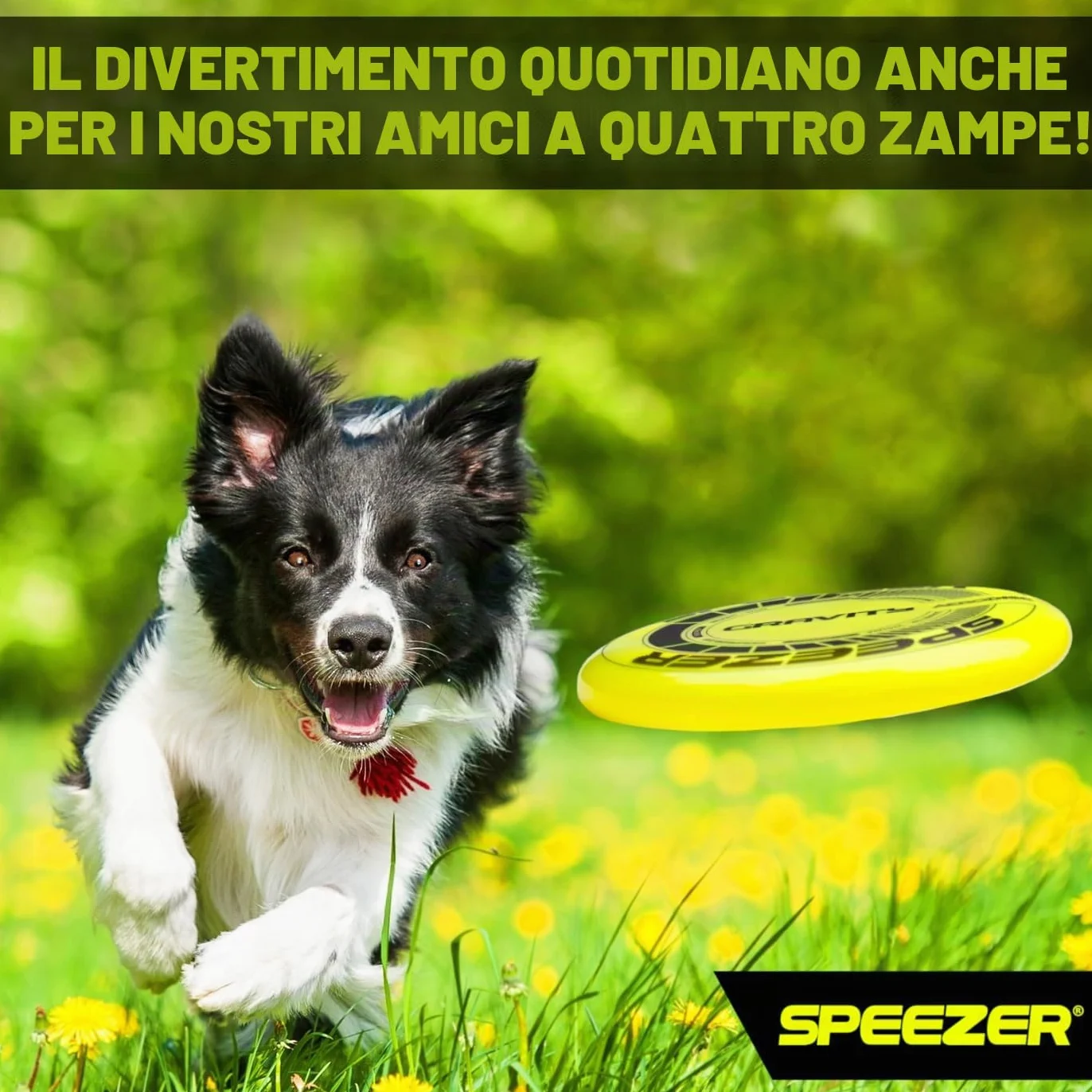 SPEEZER Gravity Frisbee 175 g – Disco da lancio professionale giallo neon per bambini adulti – Ultimate Flying Disc giocattolo da spiaggia