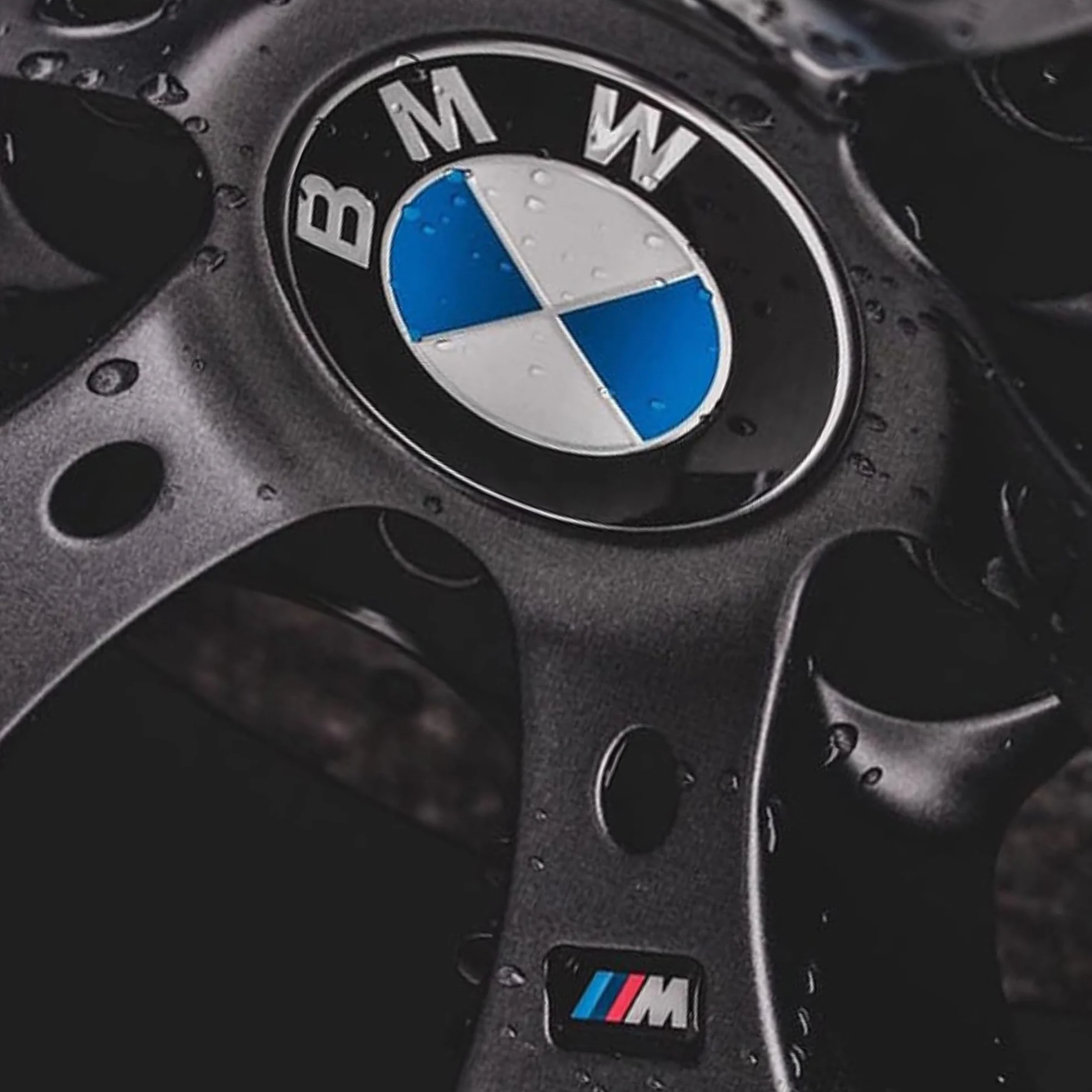 BMW Stemma Originale Serie M 36112228660 Multicolore