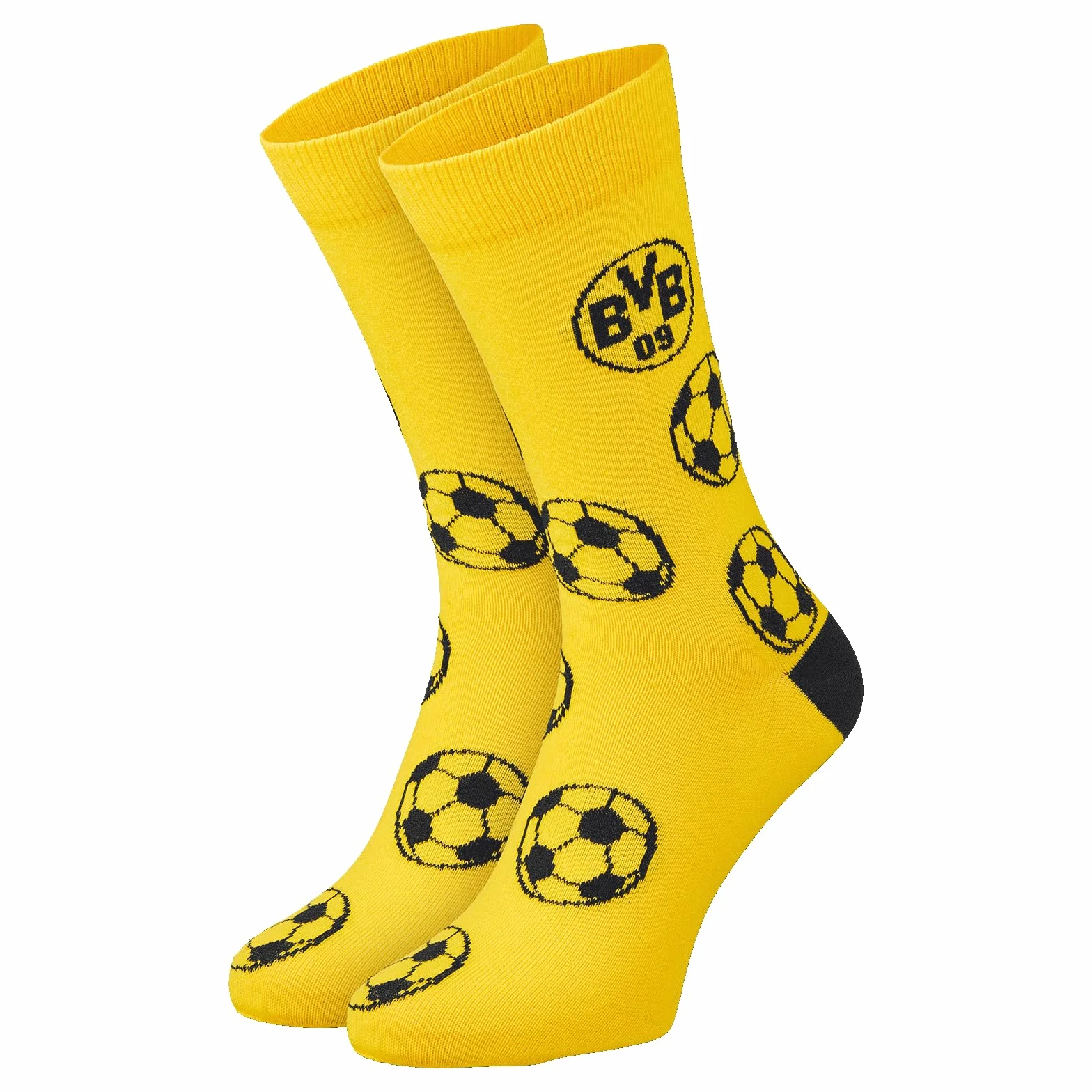 Borussia Dortmund BVB Sprüchesocken 2er Pack Unisex Adulto