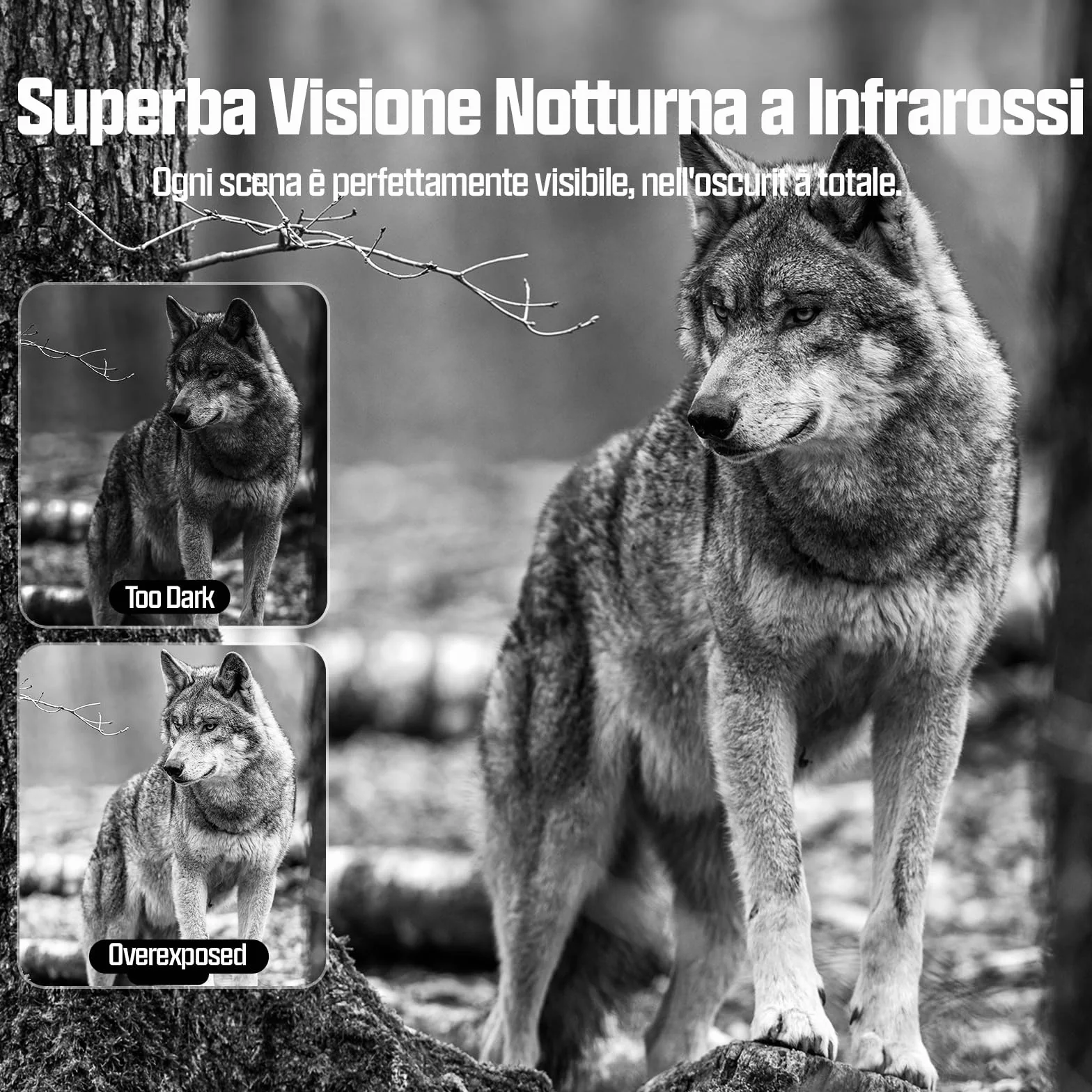 CEYOMUR 4G LTE Fototrappola 2K 48MP con SIM, Sensore di Movimento, Scatto 0,2s, IP66