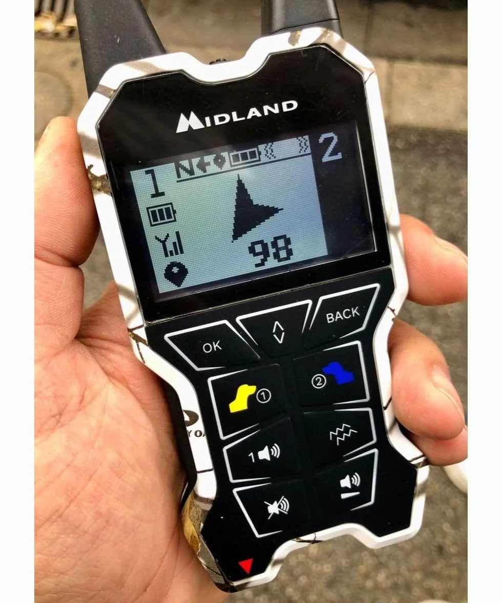 Beeper One GPS Localizzatore per Cani Copertura 2,5 Km Avviso Vibrazione Display Telecomando