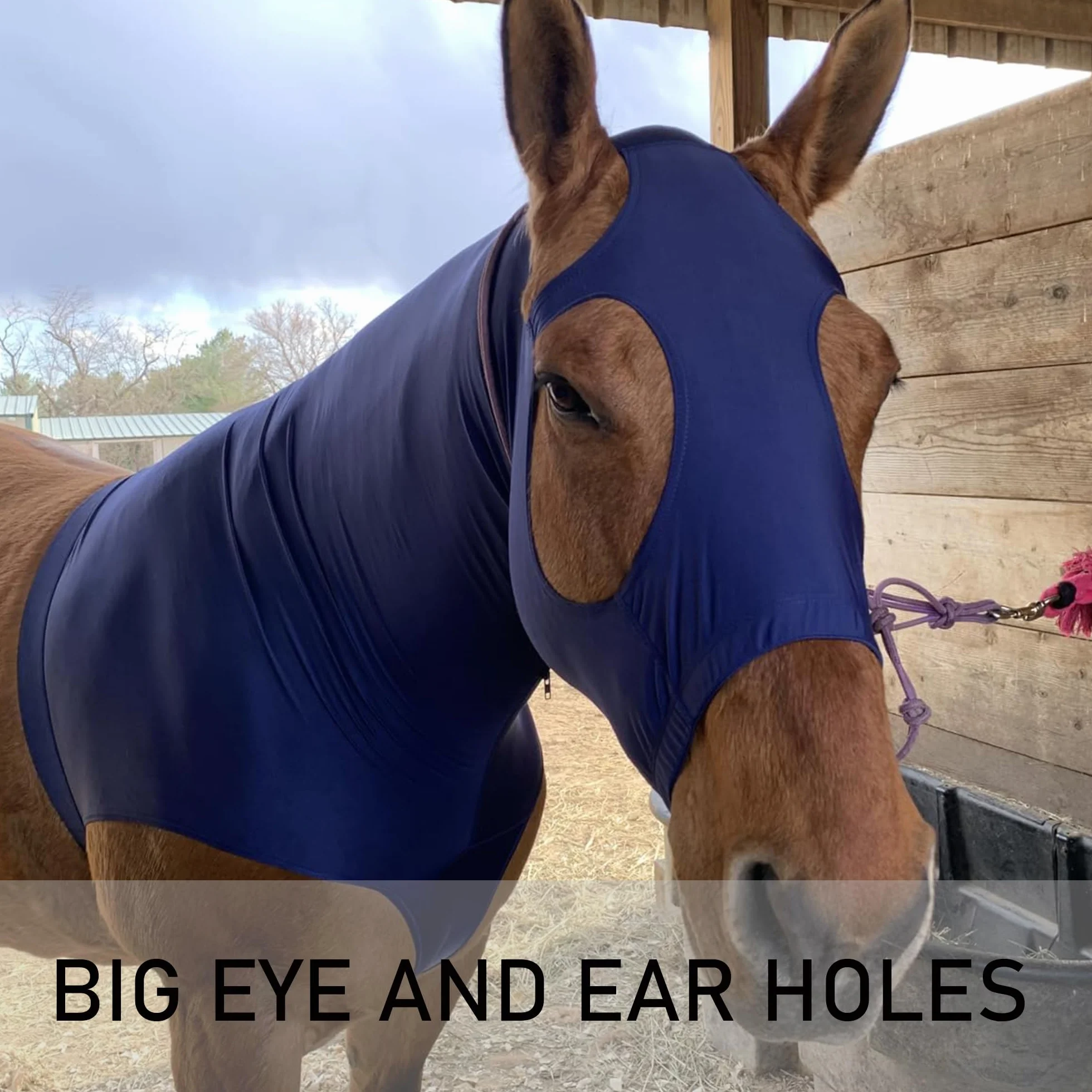 Leberna Hood cavallo lycra elasticizzata con zip - copertura del collo pieno volto XL Blu marino