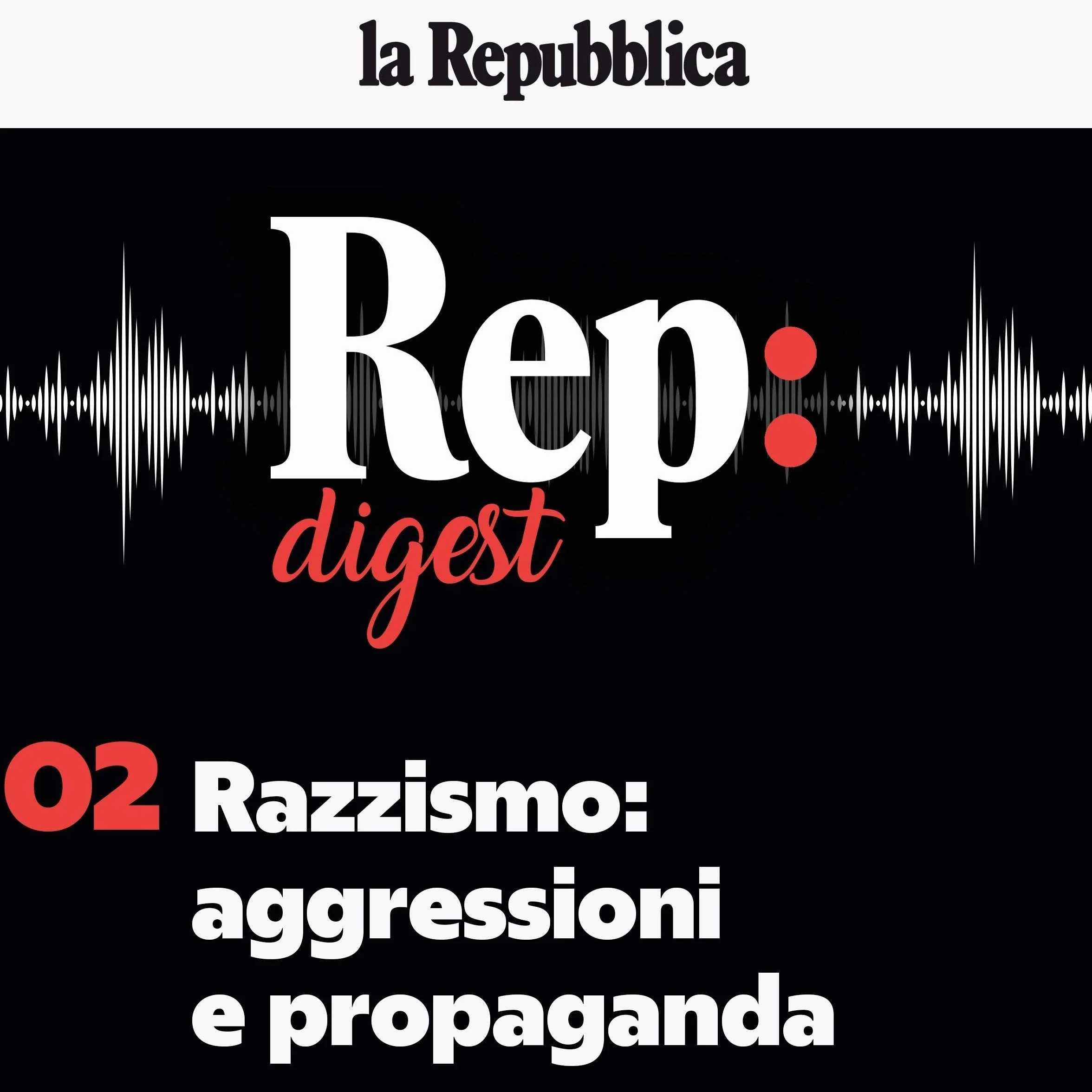 Razzismo: aggressioni e propaganda: Rep Digest 2