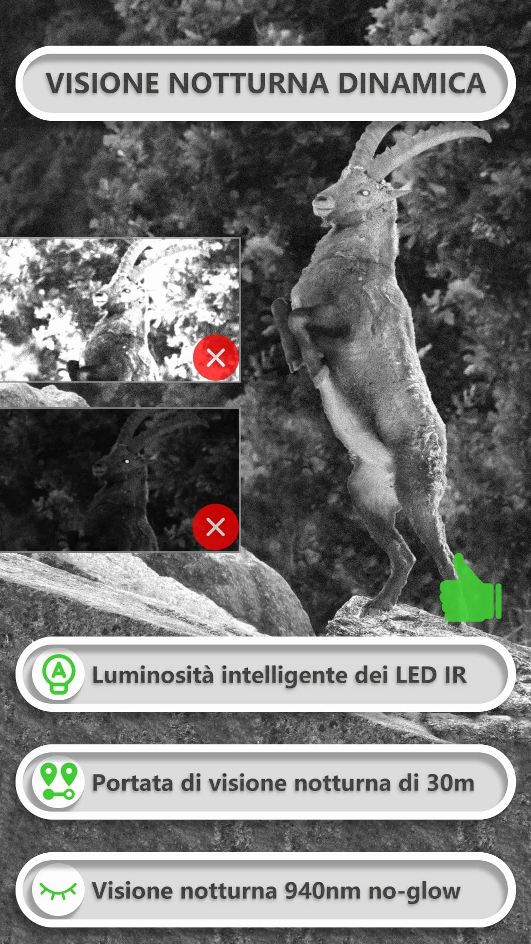 GardePro E8P Fotocamera da Caccia WIFI 8000mAh 64MP 1296P Visione Notturna