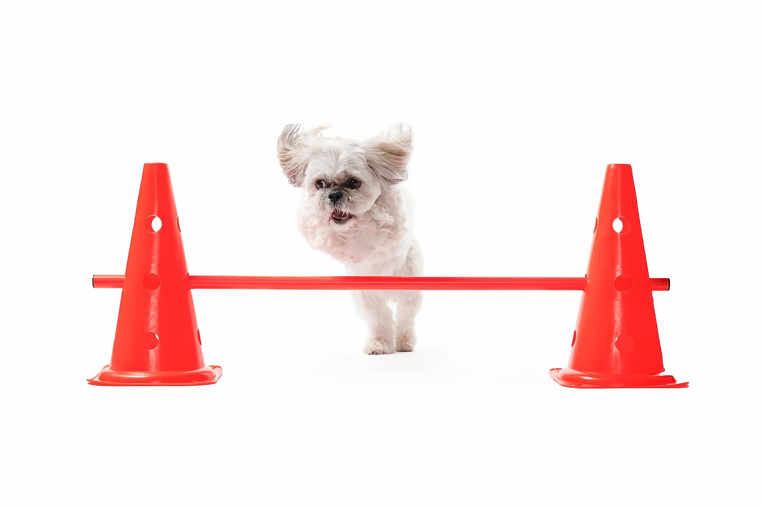 BRAMBLE! 12 Regolabili Ostacoli da Allenamento con Coni e Bastoncini per Bambini, Cani, Indoor i Outdoor