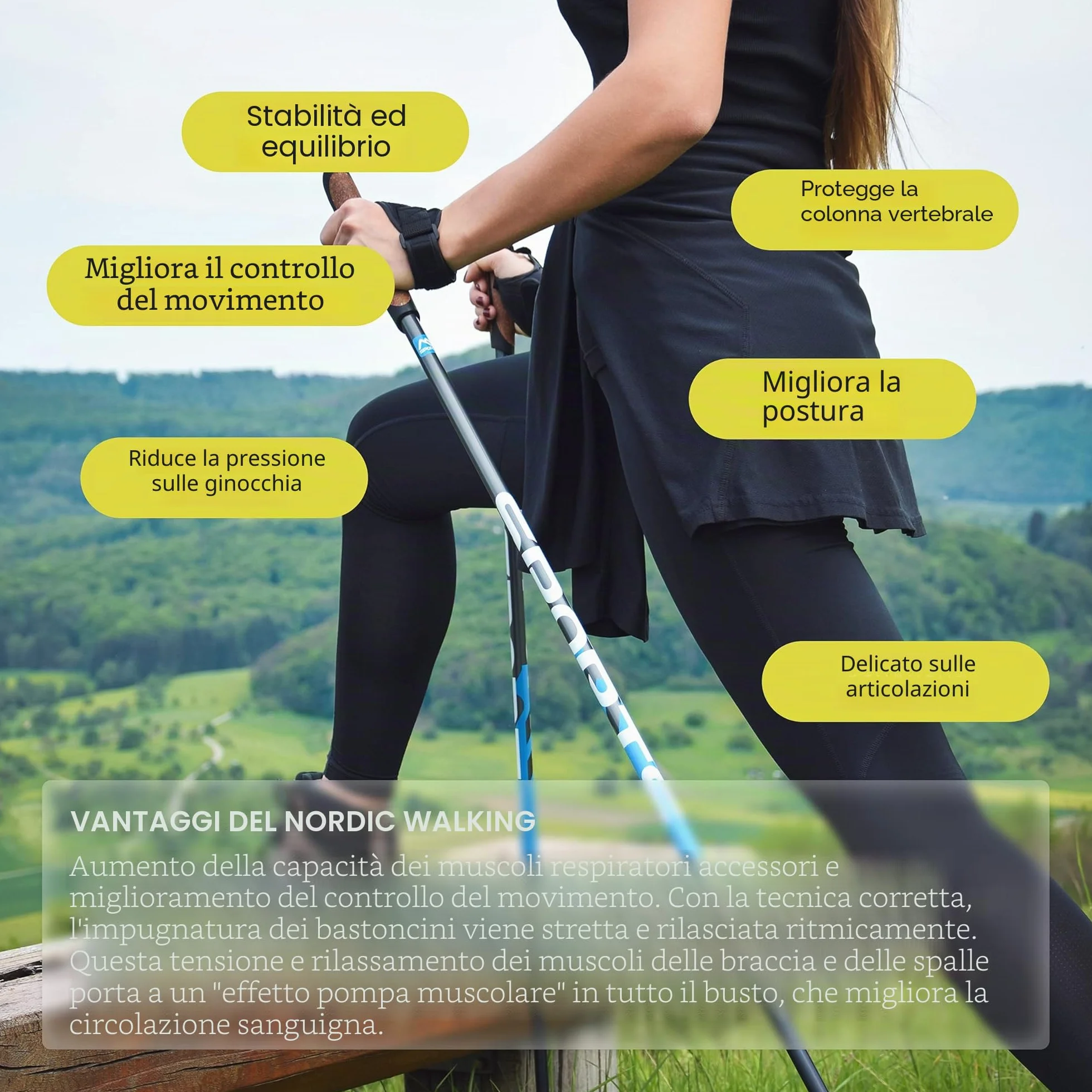 MSPORTS Bastoncini Nordic Walking Premium Antracite Ultraleggero Walking Sticks
