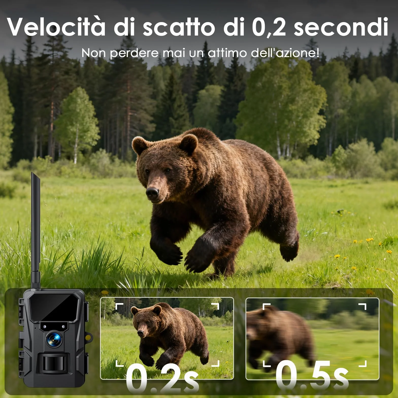 WOLFANG Fototrappola 4G LTE Solare 2K con Scheda SIM e 64GB SD, Visione Notturna, IP66, Nero