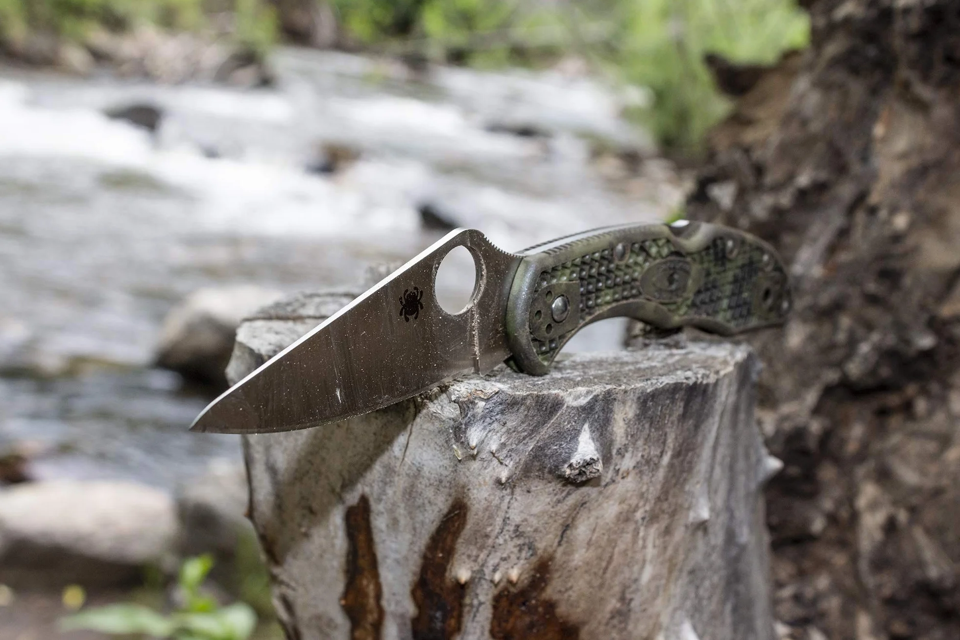 Spyderco Delica 4 C11SBK Coltello Seghettato