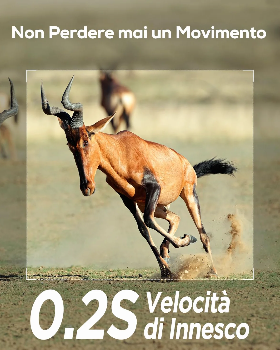 iZEEKER Fototrappola 2K 36MP HD LED Infrarossi Invisibili 940nm