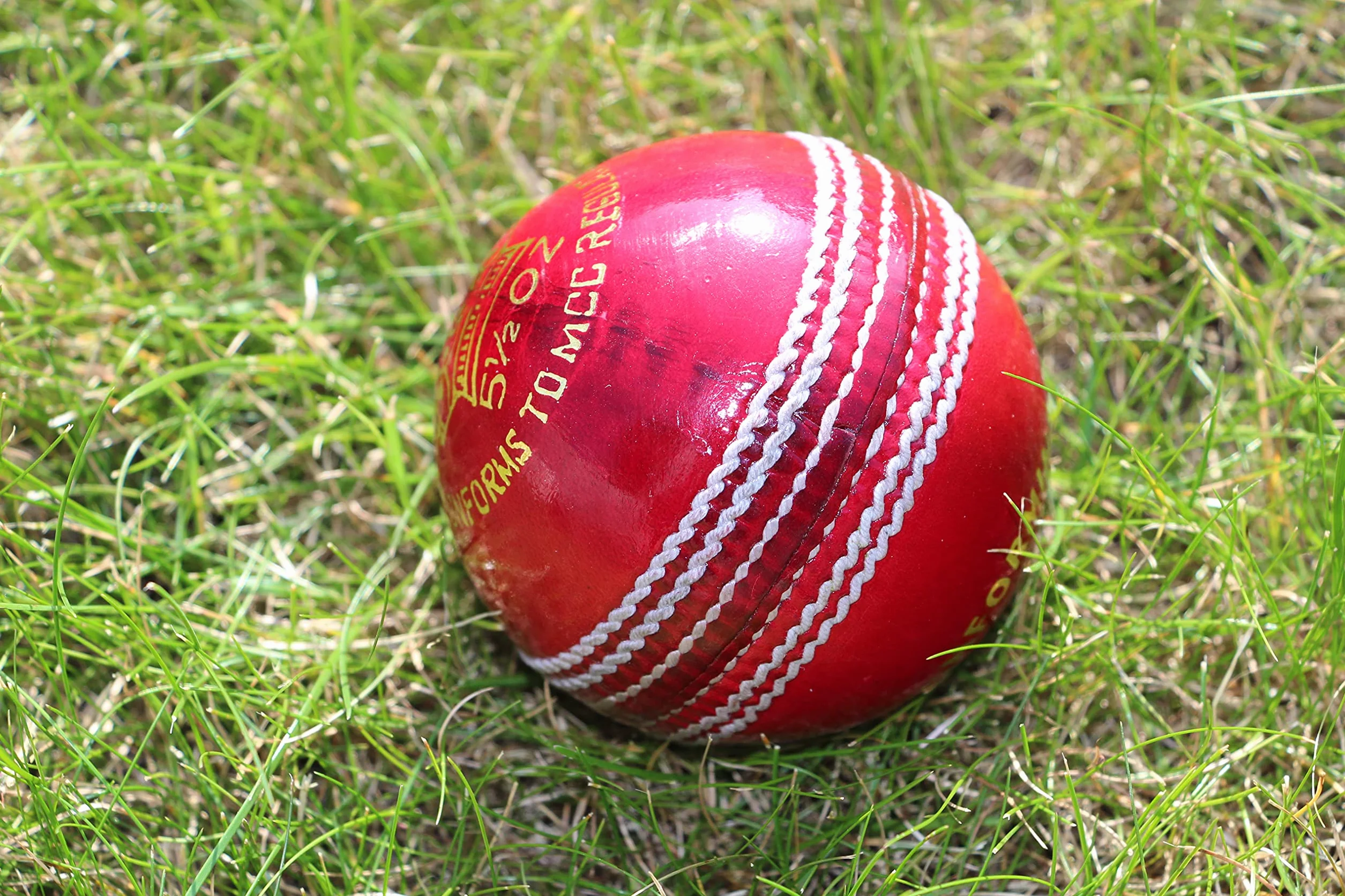 Palline da cricket Premium, confezione da 6