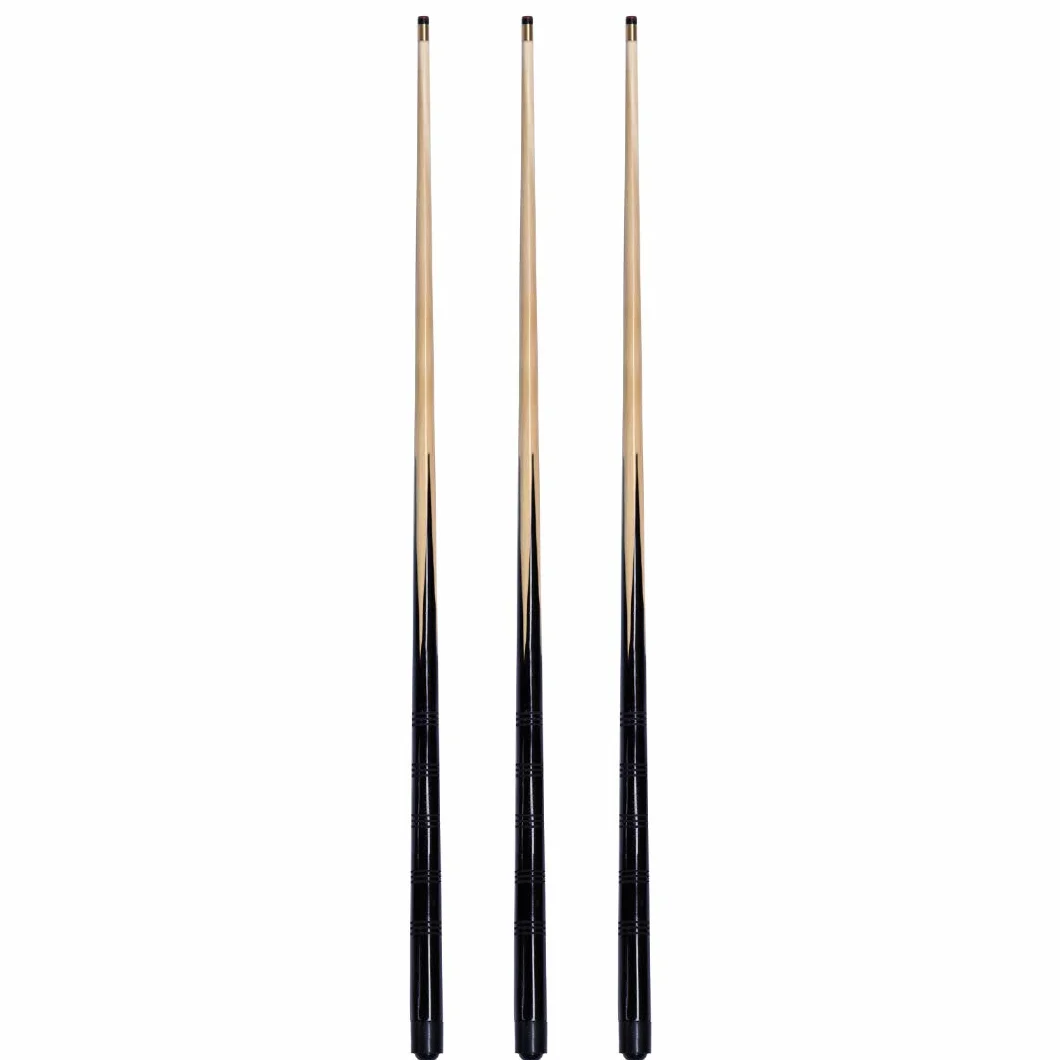 Stecche da Biliardo 1,2 m Punte a Vite 10 mm