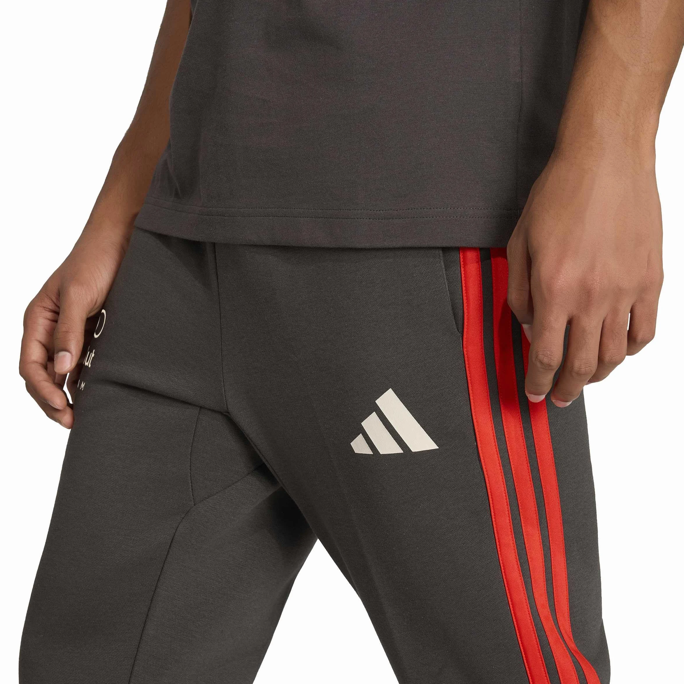 Adidas Men Pantaloni Dna Team Audi REVOLUT F1