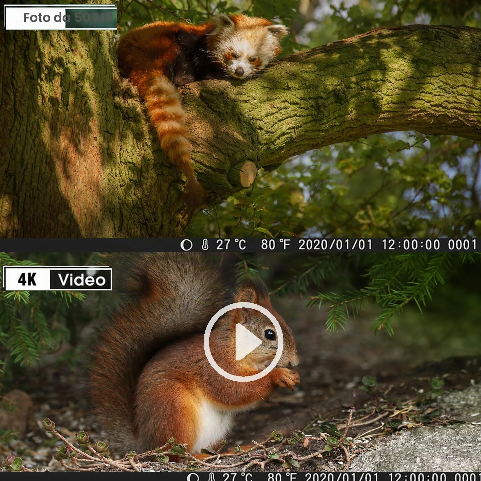 Fototrappola Caccia 50MP 4K IP65 Impermeabile Grandangolare 120° Infrarossi con SD 32GB HC808A