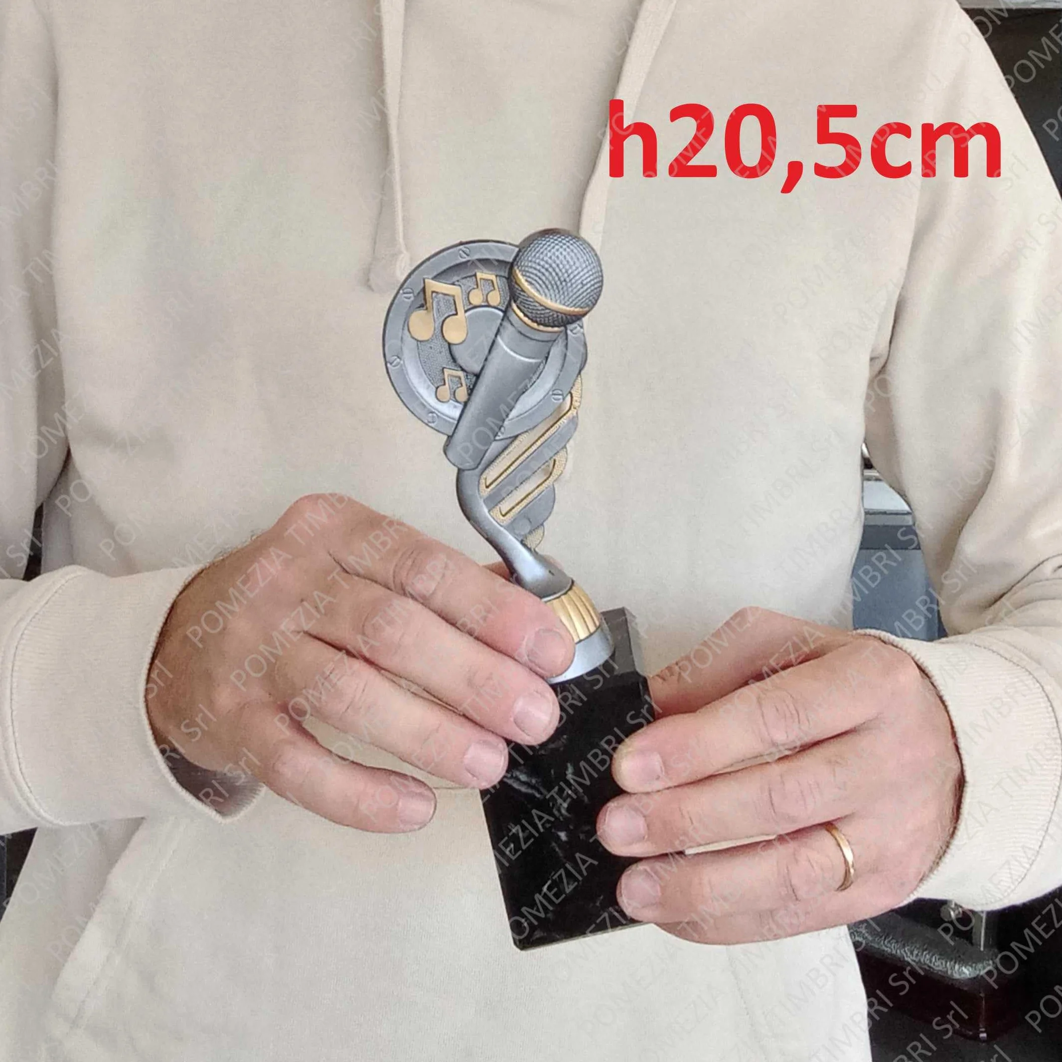 Generico Trofeo Microfono Karaoke h20,5cm Premio Canto Musica Regalo Gare FantaSanremo
