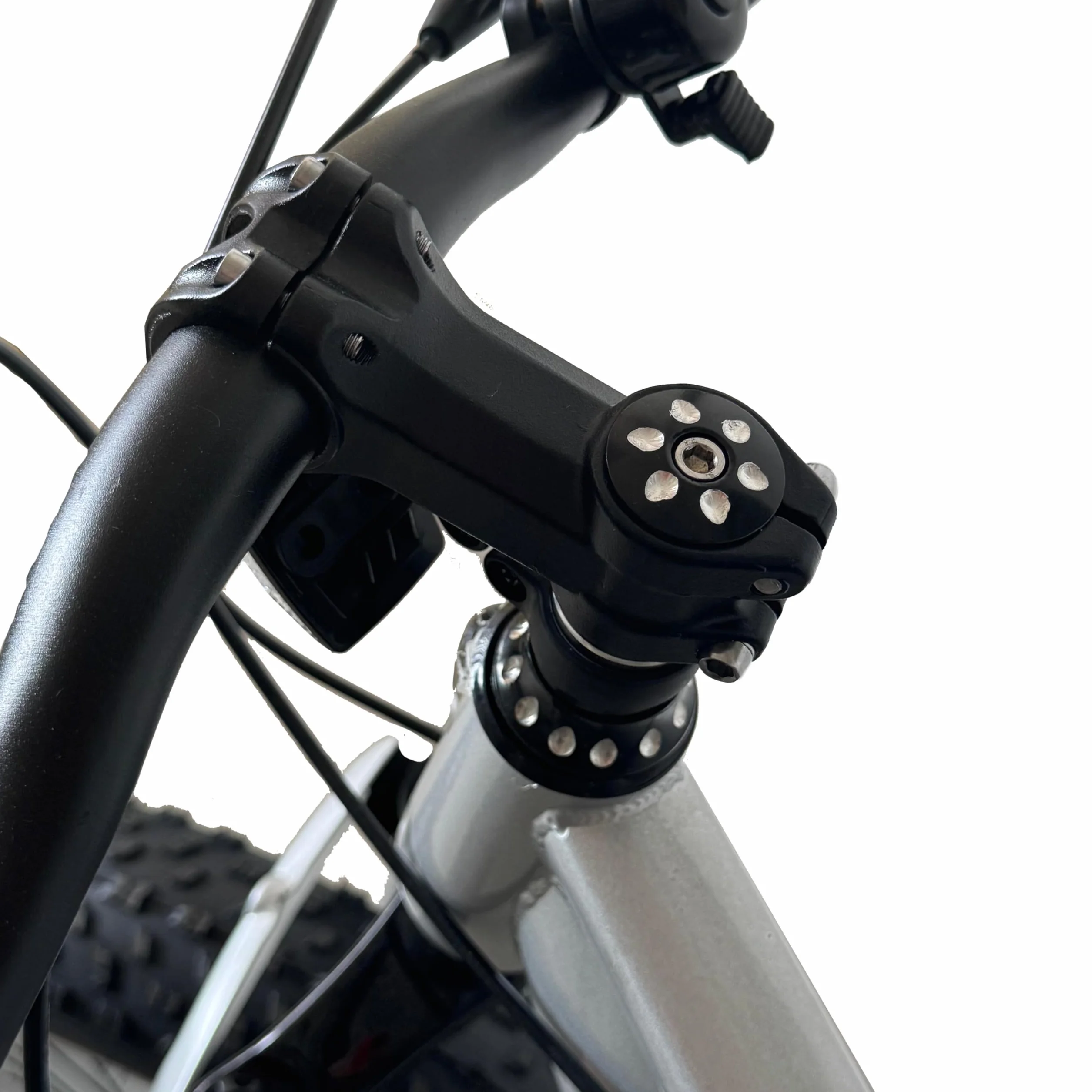 FATWHEEL Bicicletta Bambini 20" Fat Bike Freni a Disco Ruote Grosse MTB Tutti Terreni 7-12 Anni
