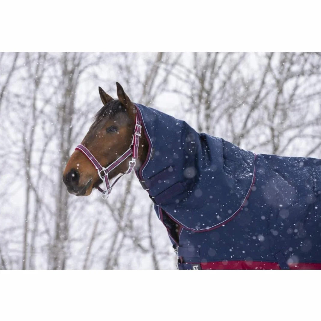 Equi-Theme Equit'M 400993002 Tyrex 1200 D Fodera per Il Collo Blu Navy Bordeaux Bianco Taglia Unica