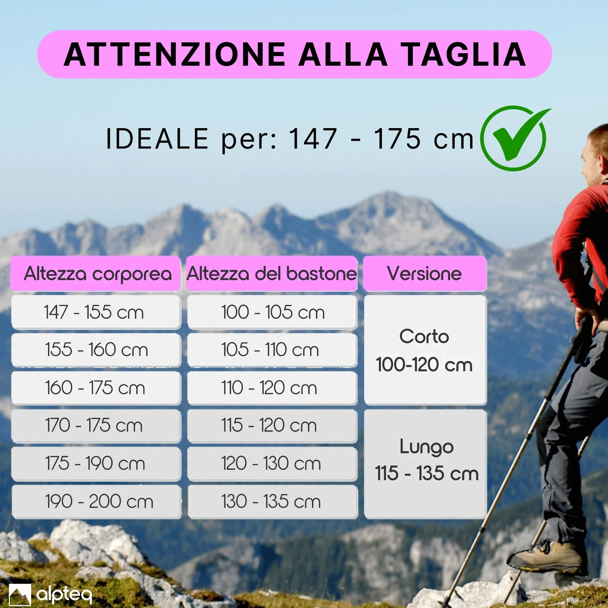 Bastoni da trekking pieghevoli in carbonio con impugnatura in sughero extra leggeri