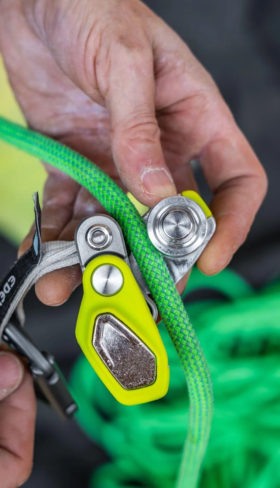 EDELRID OHMEGA Dispositivo di sicurezza, colore: Oasis