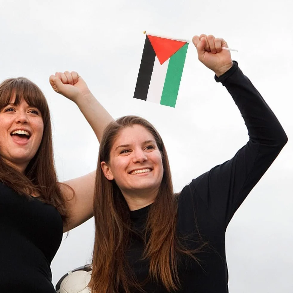 Palestina bandiera palestinese con palo I Stand mano sventolando