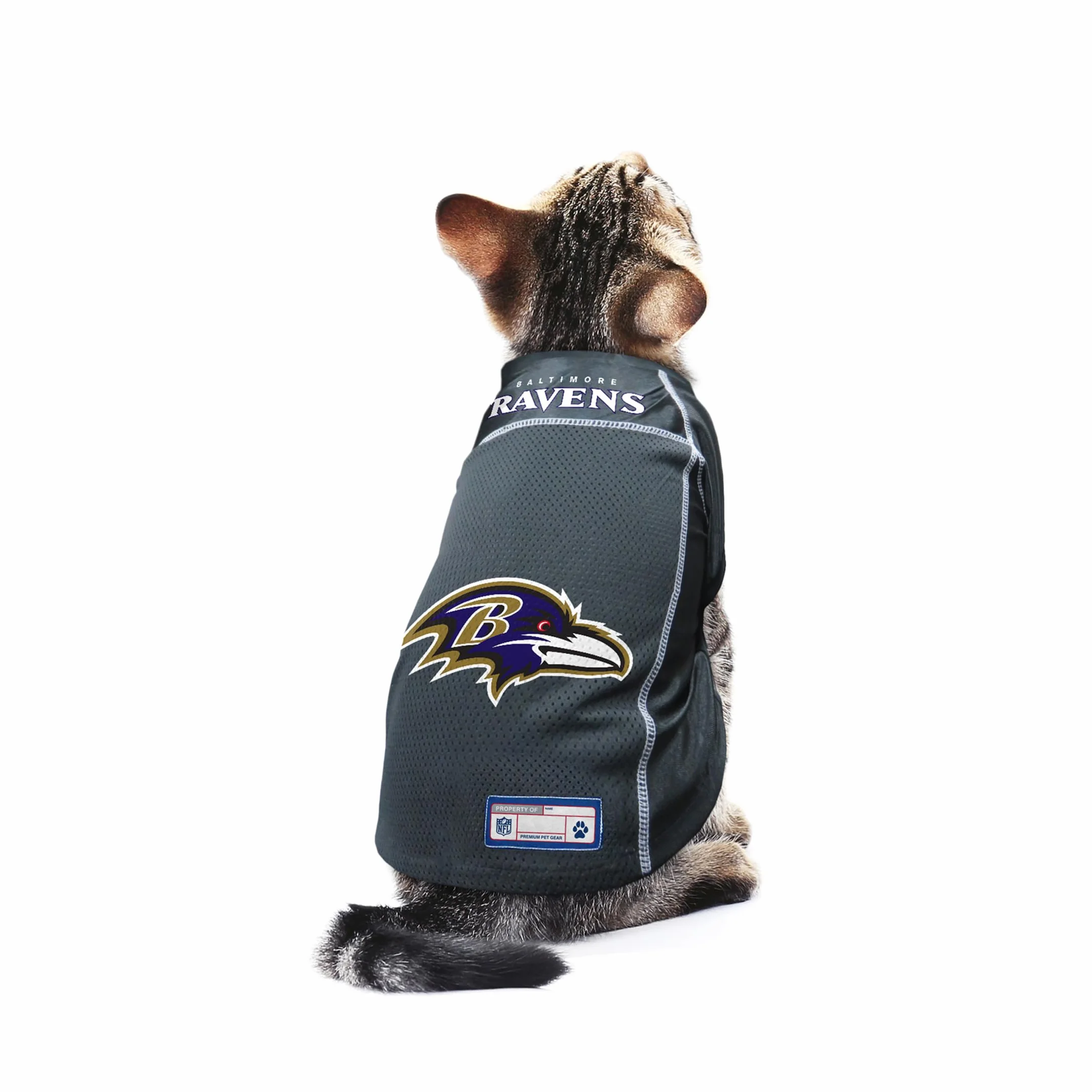 Little Earth Productions Littlearth Casacca Basica per Animali Domestici NFL