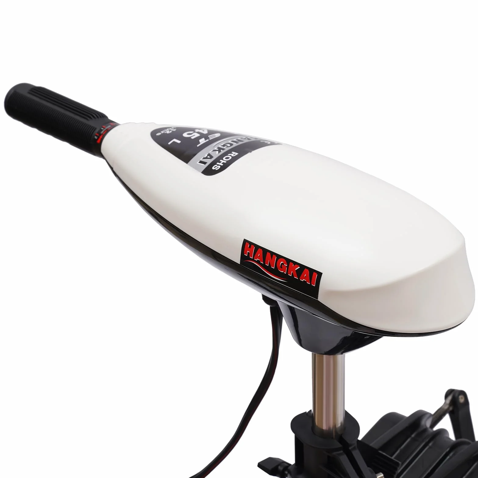Motore fuoribordo elettrico 12V 20,41 kg 5 velocità avanti 2 retro per barca kayak canoa gommone