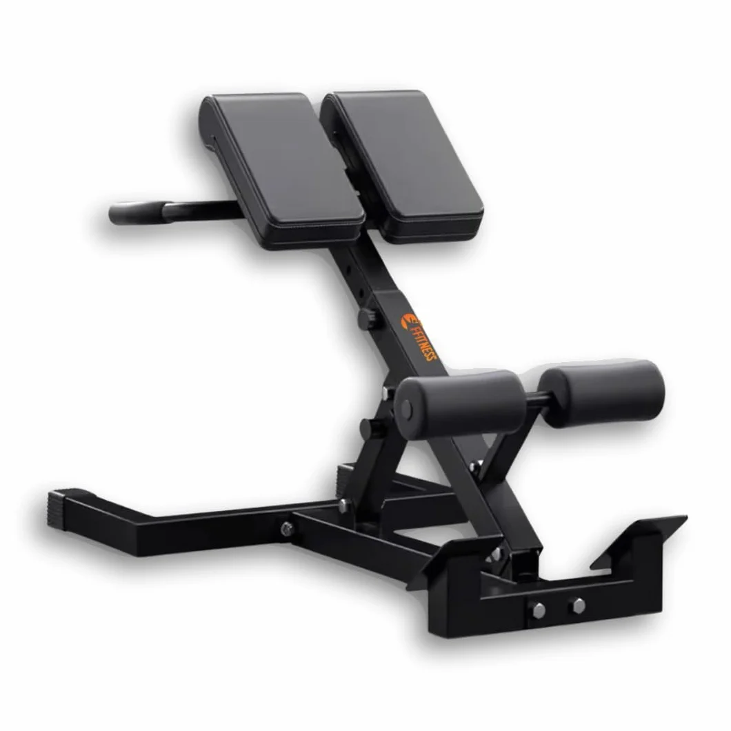 FFitness Panca Sedia Romana Multifunzione Iperestensioni Crunch Tricipiti Dips Inclinazione Altezza Regolabile Richiudibile