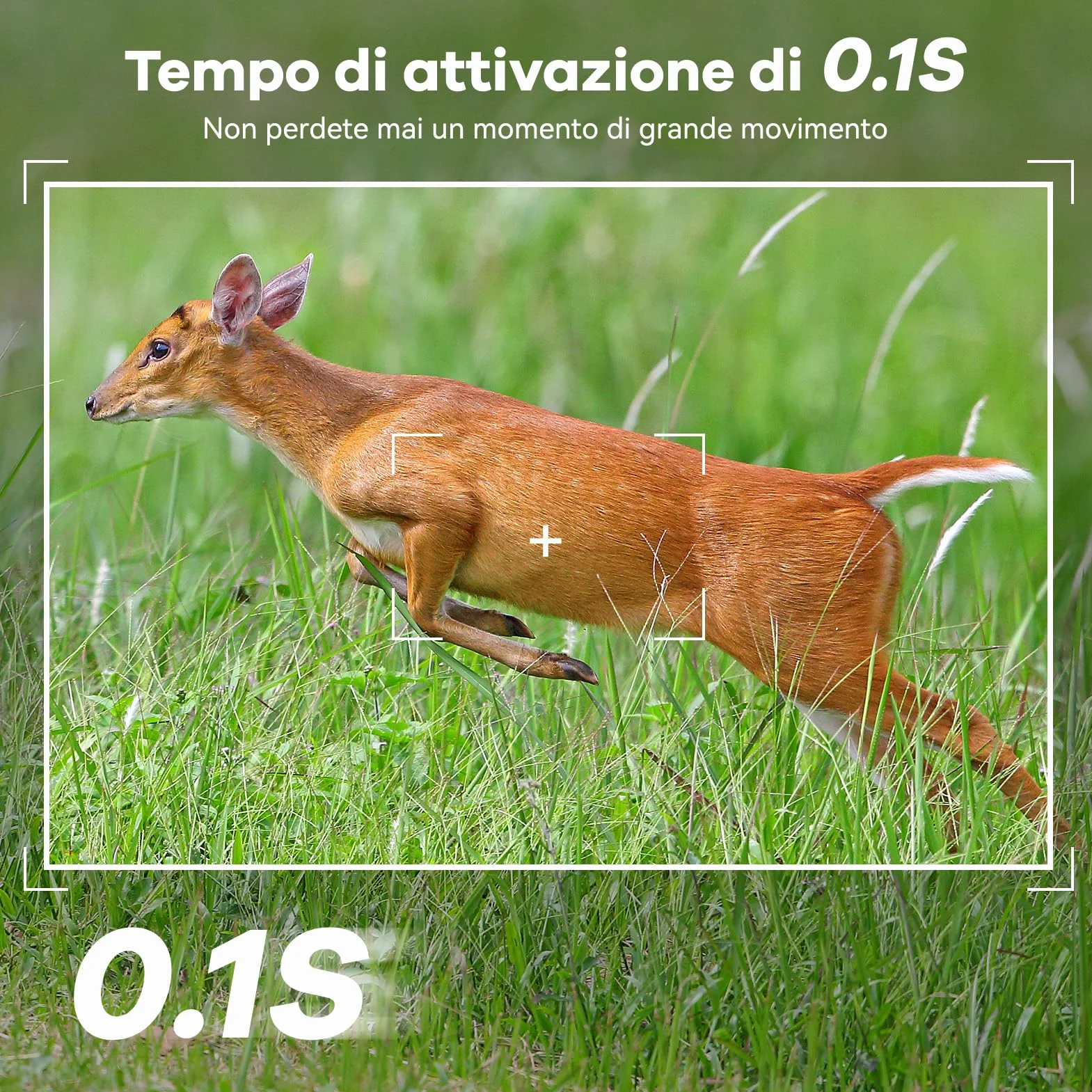 DEATTI Solare Fotocamera da Caccia 4G LTE con Sim 0,1S 7800 mAh IP65