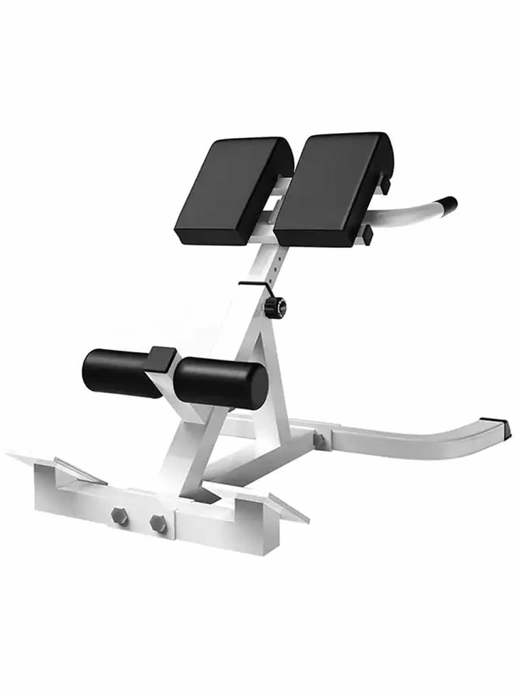 Roman Chair Hyperextension Panca per esercizi addominali e schiena - Panca fitness multifunzionale con altezza regolabile, imbottitura e gambe in schiuma - portata 300 lbs