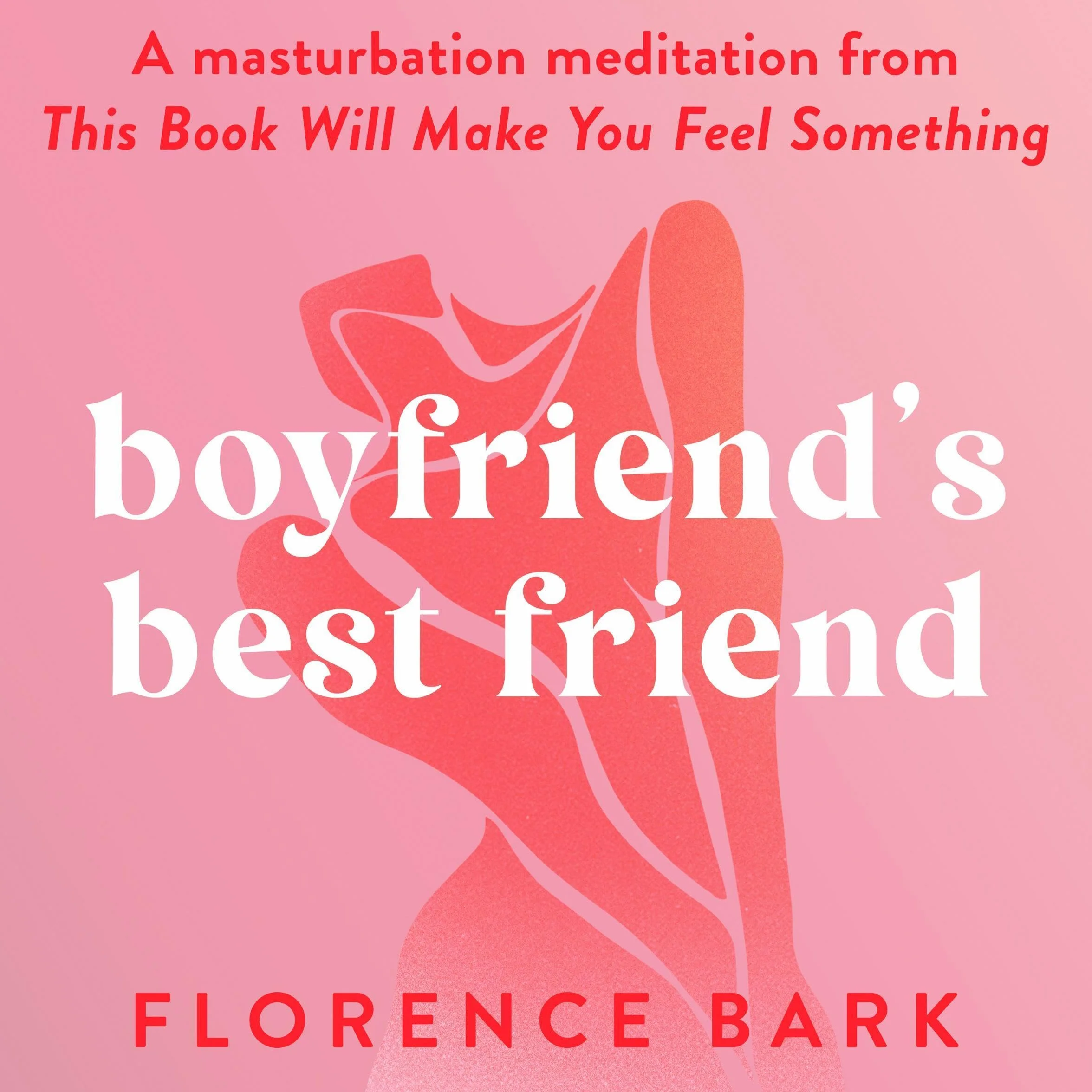 Masturbation Meditation: Boyfriend's Best Friend Book