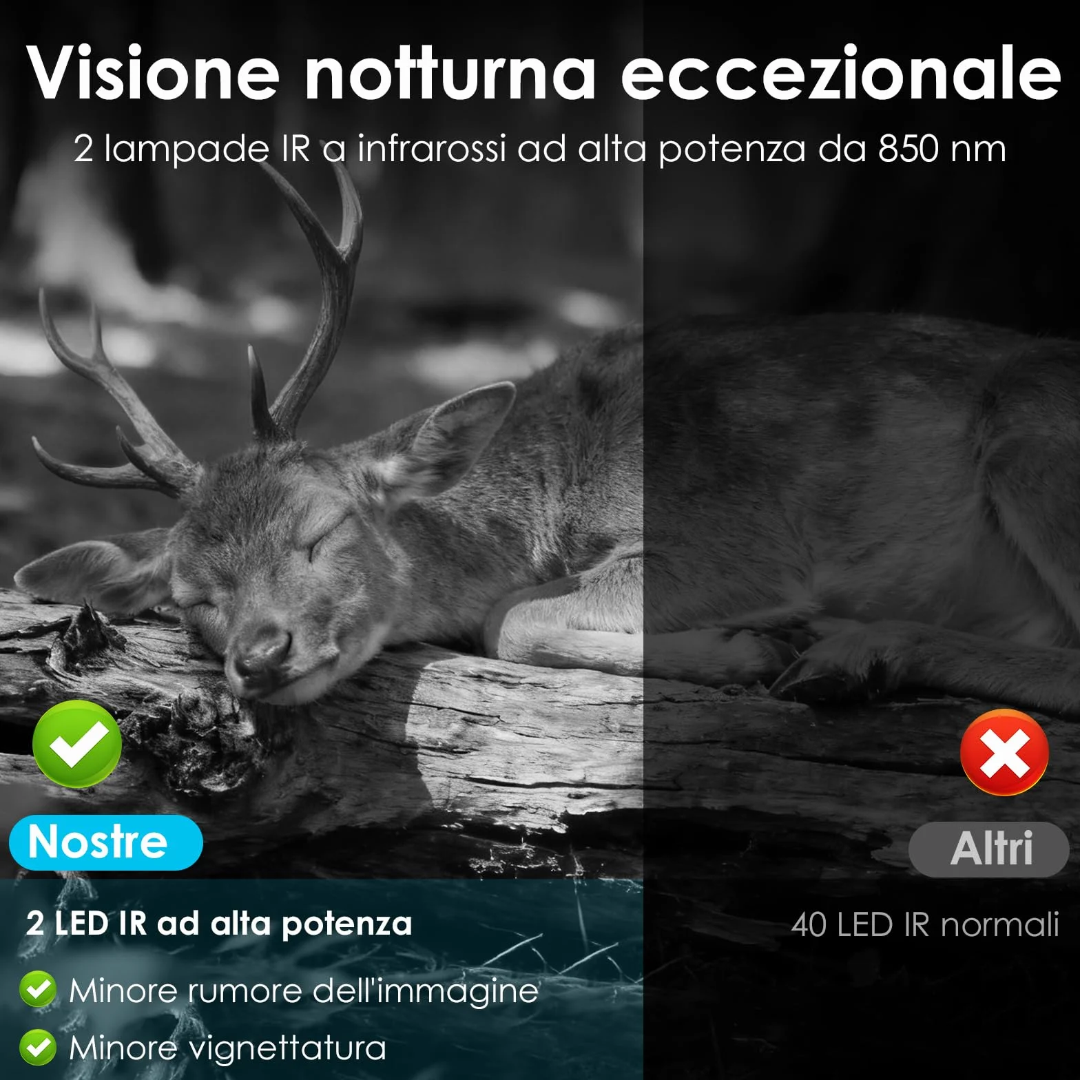 WOLFANG Fototrappola 4G LTE Solare 2K con Scheda SIM e 64GB SD, Visione Notturna, IP66, Nero