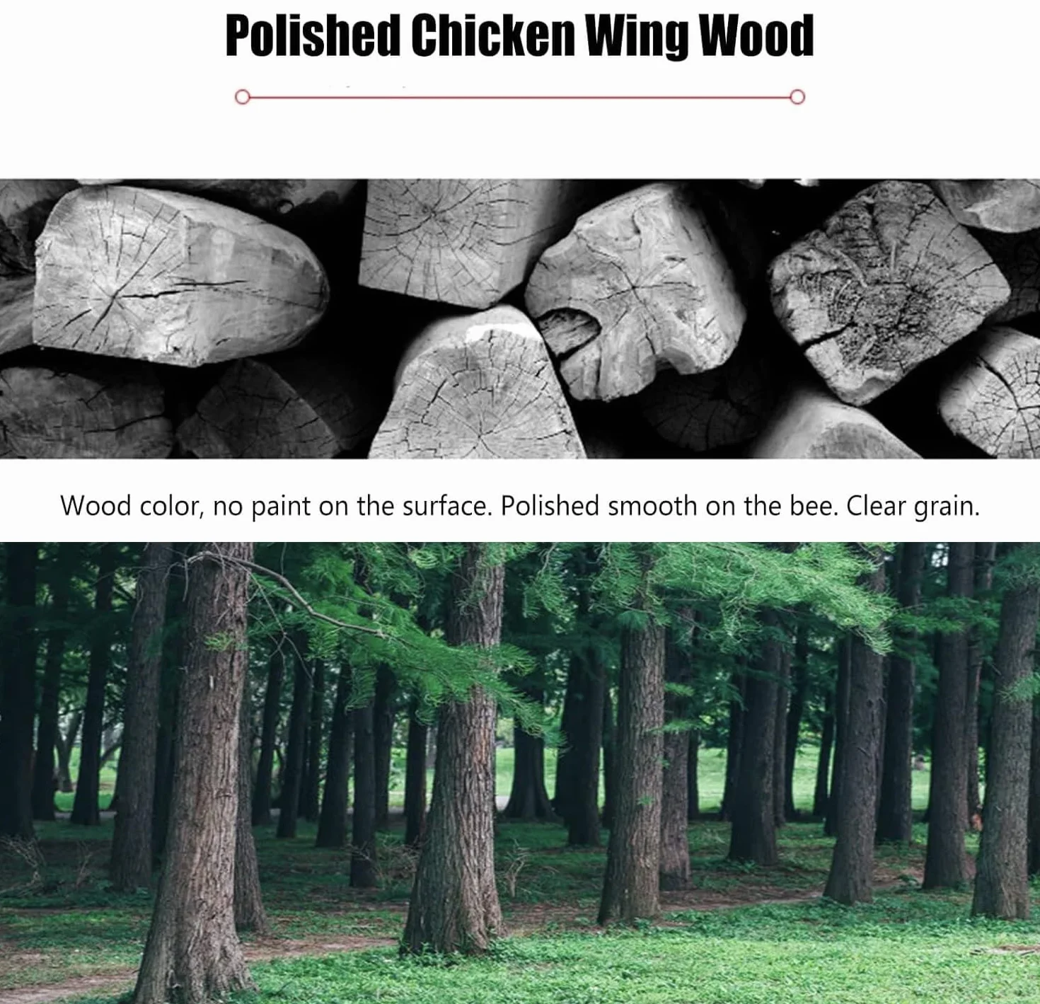 Ruler e bastone per Tai Chi Qigong, levigato e liscio per allenamento arti marziali