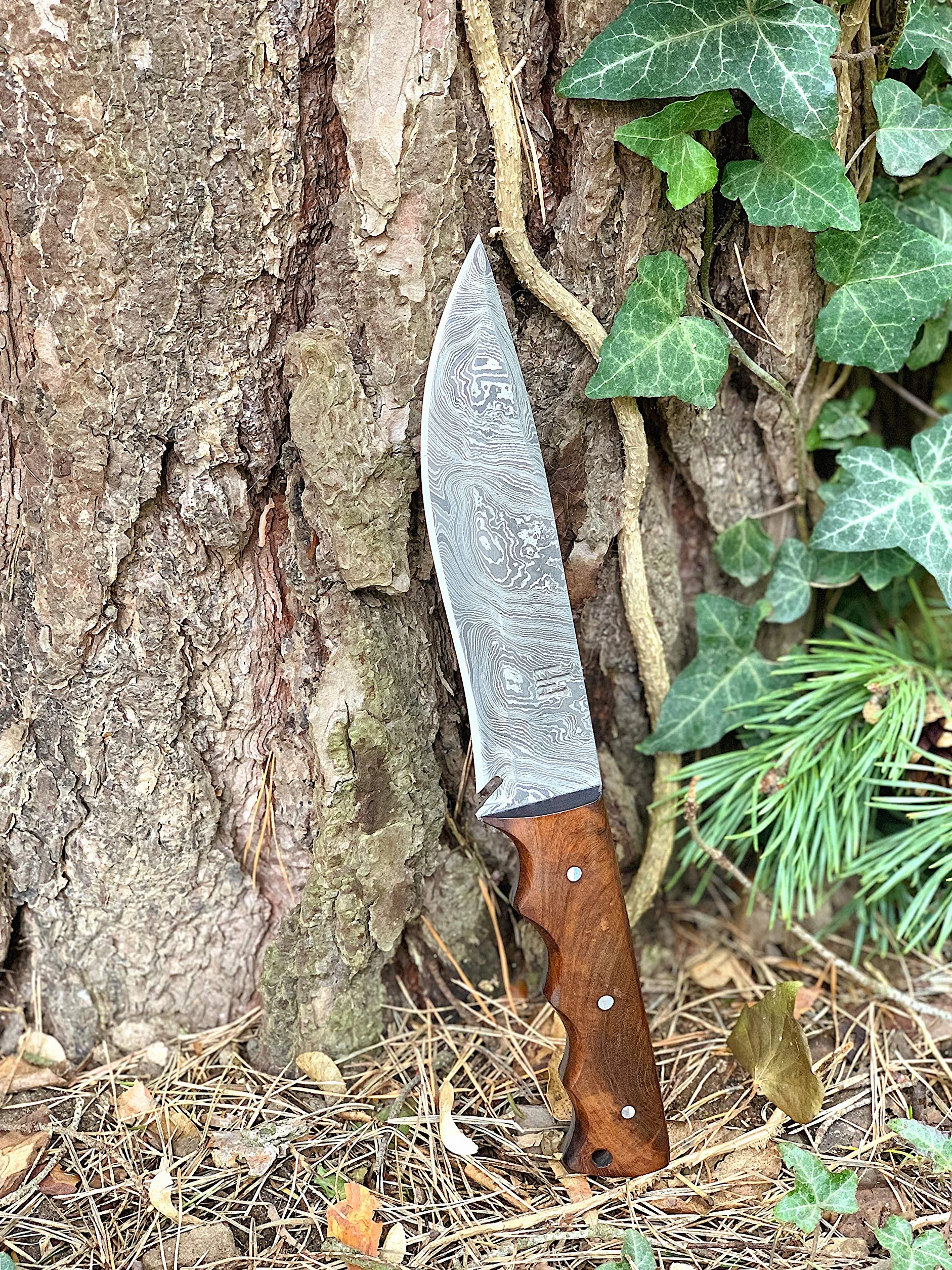 Hobby Hut HH-401, 11,5 Pollici Bushcraft Coltello in Acciaio Damasco | Coltello da Caccia, Manico in Legno di Noce | Fodero in Pelle | Lama affilata del Rasoio all'aperto