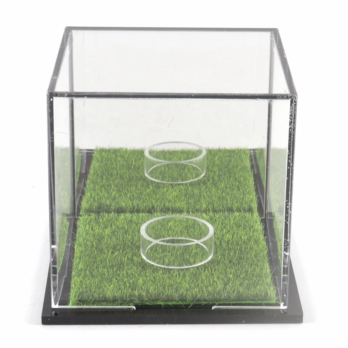 Espositore per palline da golf acrilico 12x12x11 cm singole quadrato