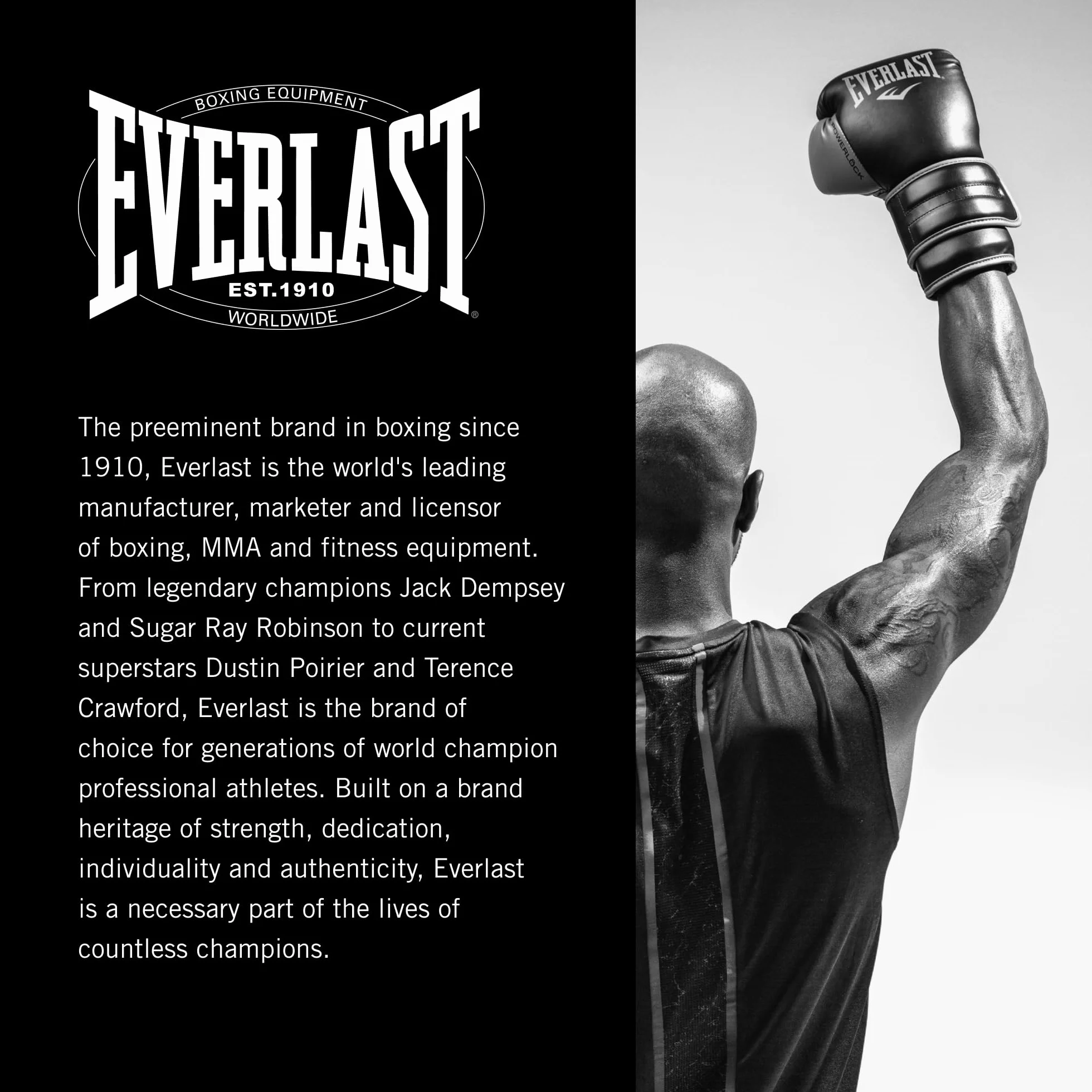 Everlast Powerlock OG & Powerlock 2R Guantoni da Boxe per Sacco e Sparring, Chiusura a Strappo