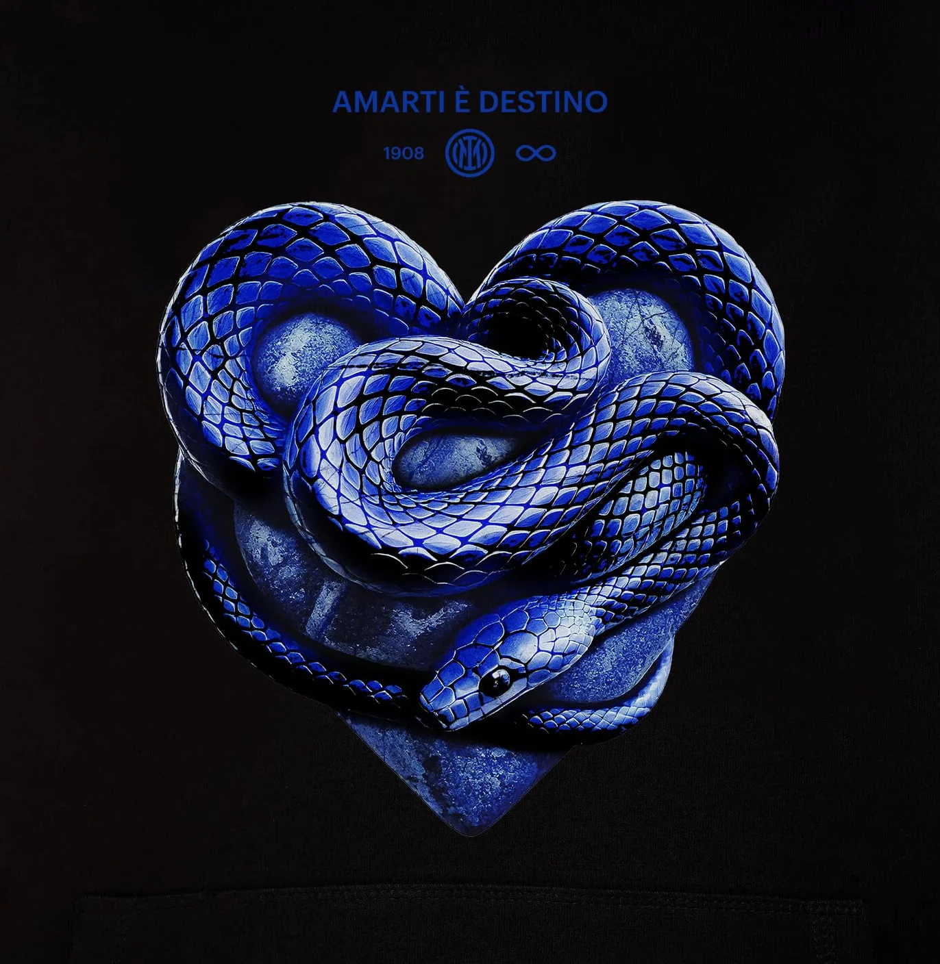 Inter Felpa con Cappuccio Amarti è Destino 100% Cotone Unisex Adulto Prodotto Ufficiale