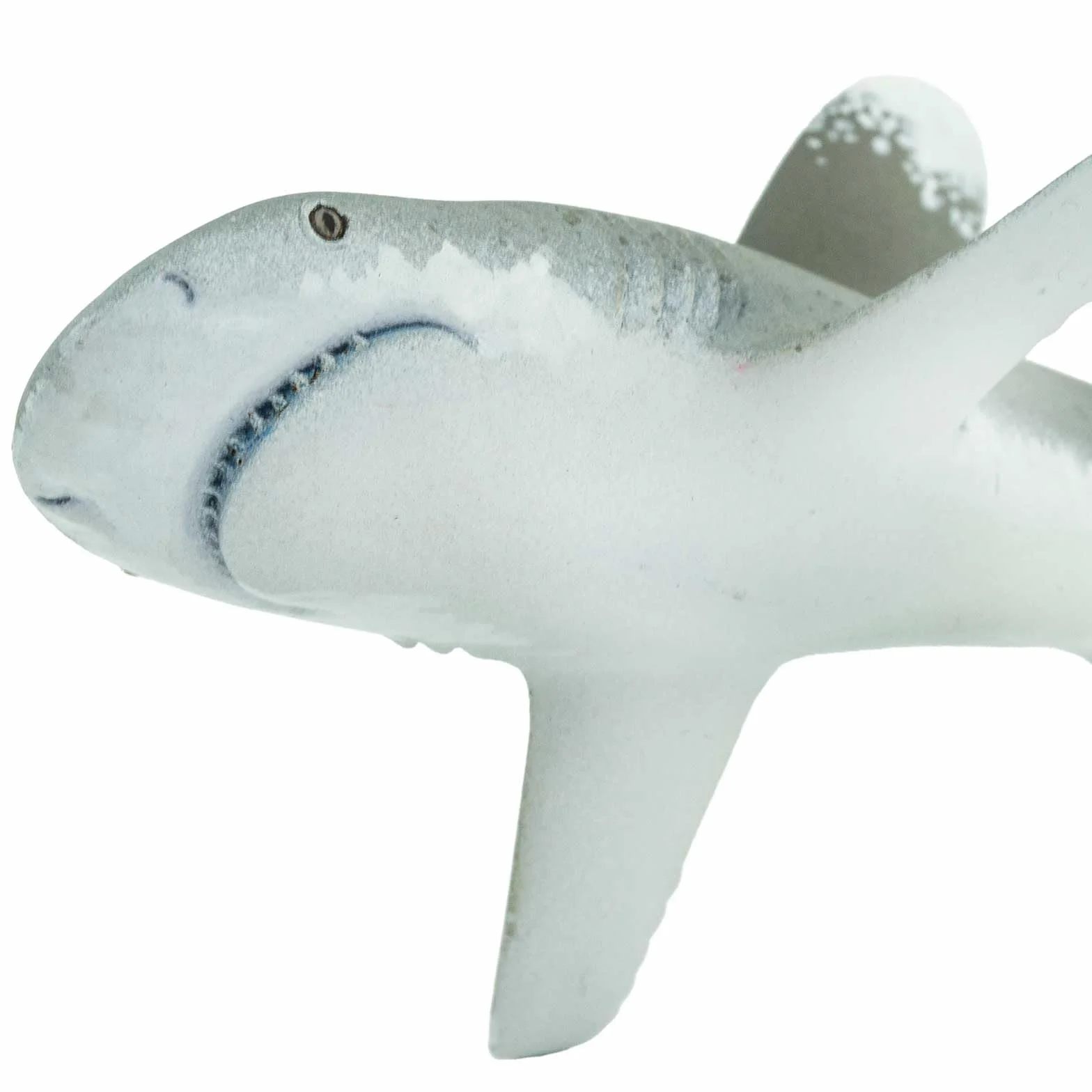 Oceanic Whitetip Shark