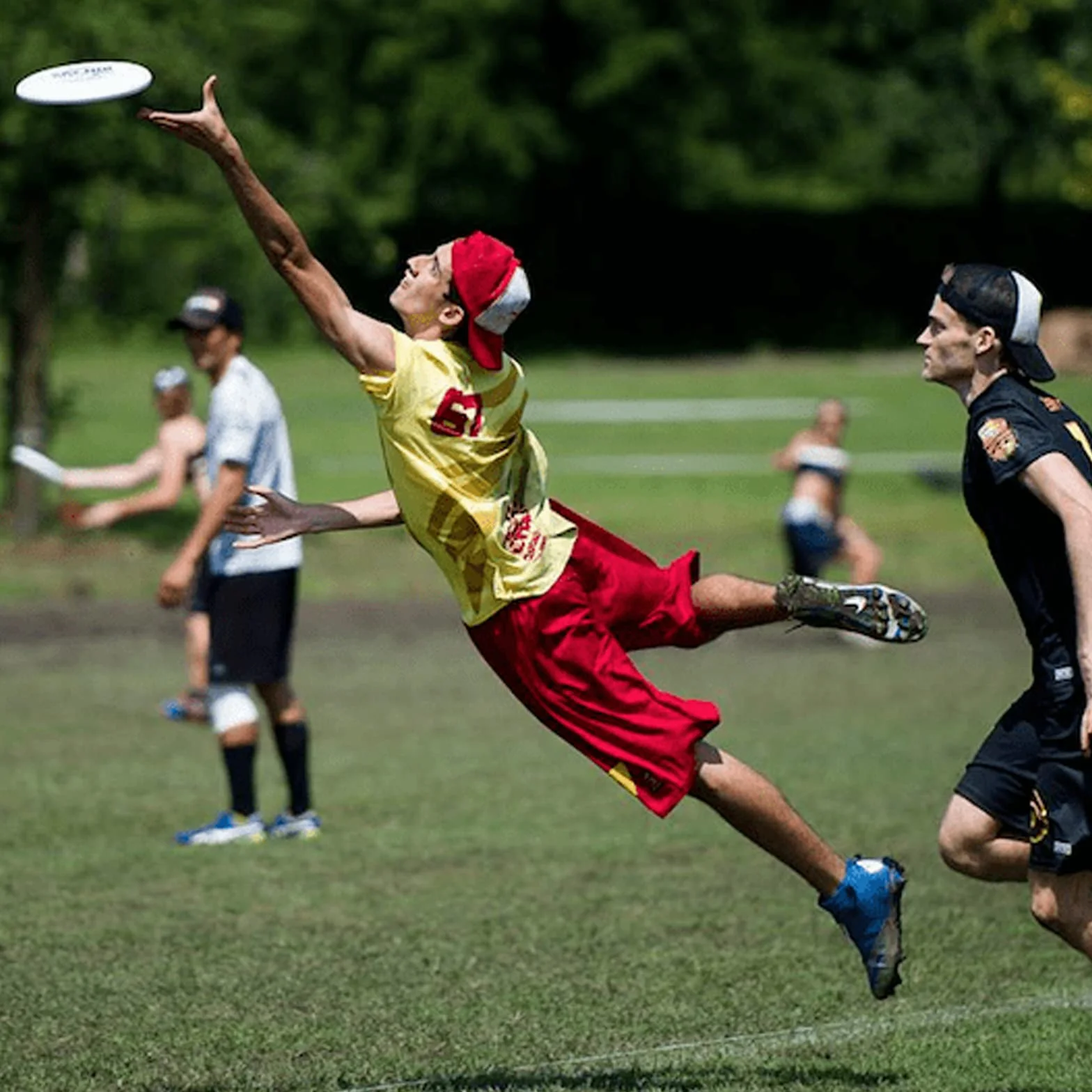 Eurodisc 175g Frisbee da Ultimate Disco da Lancio Professionale Funsport