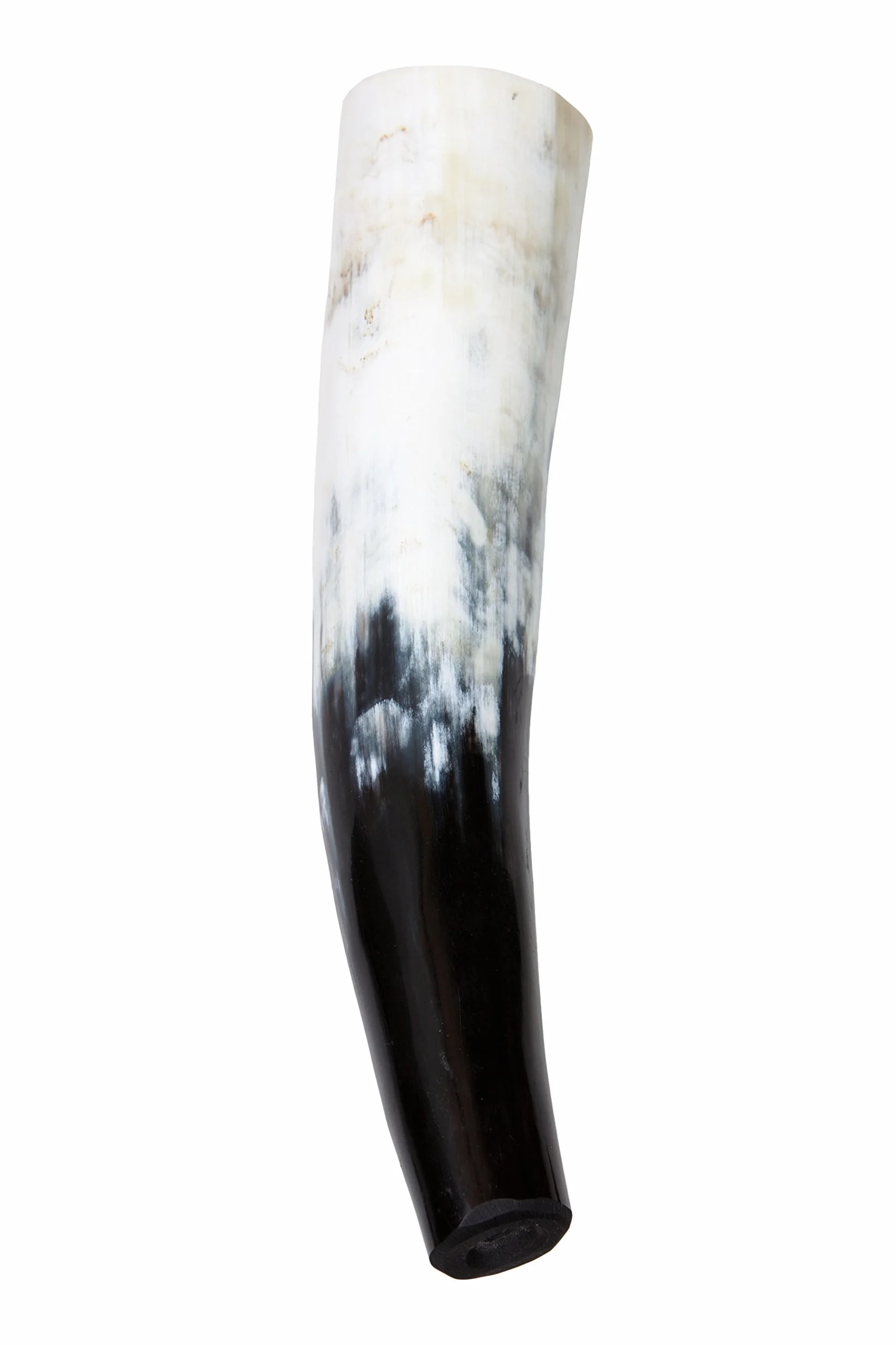 Chiamata corno, Corno di guerra, Corno di salto, lucidato 500-690 ml 0,5-0, 69l