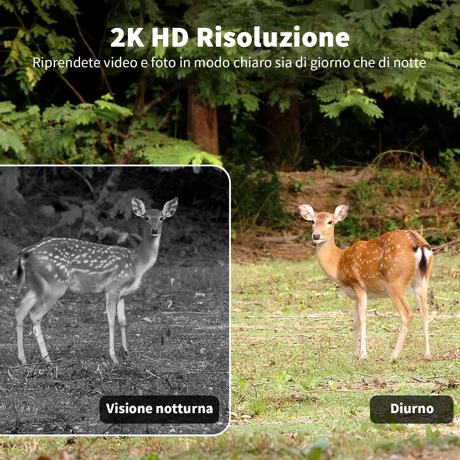 Fotocamera da Caccia Solare 4G LTE, 2K PTZ Fototrappola con SIM, Pannello Solare e APP, Rilevamento PIR, Visione Notturna a Colori