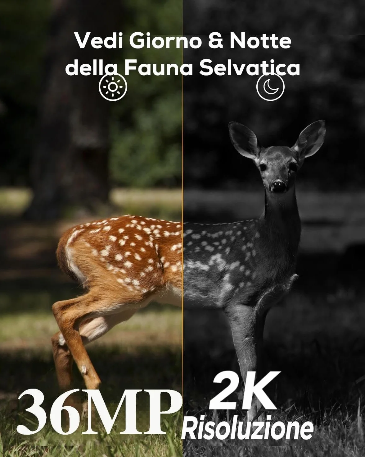iZEEKER Fototrappola 2K 36MP HD LED Infrarossi Invisibili 940nm