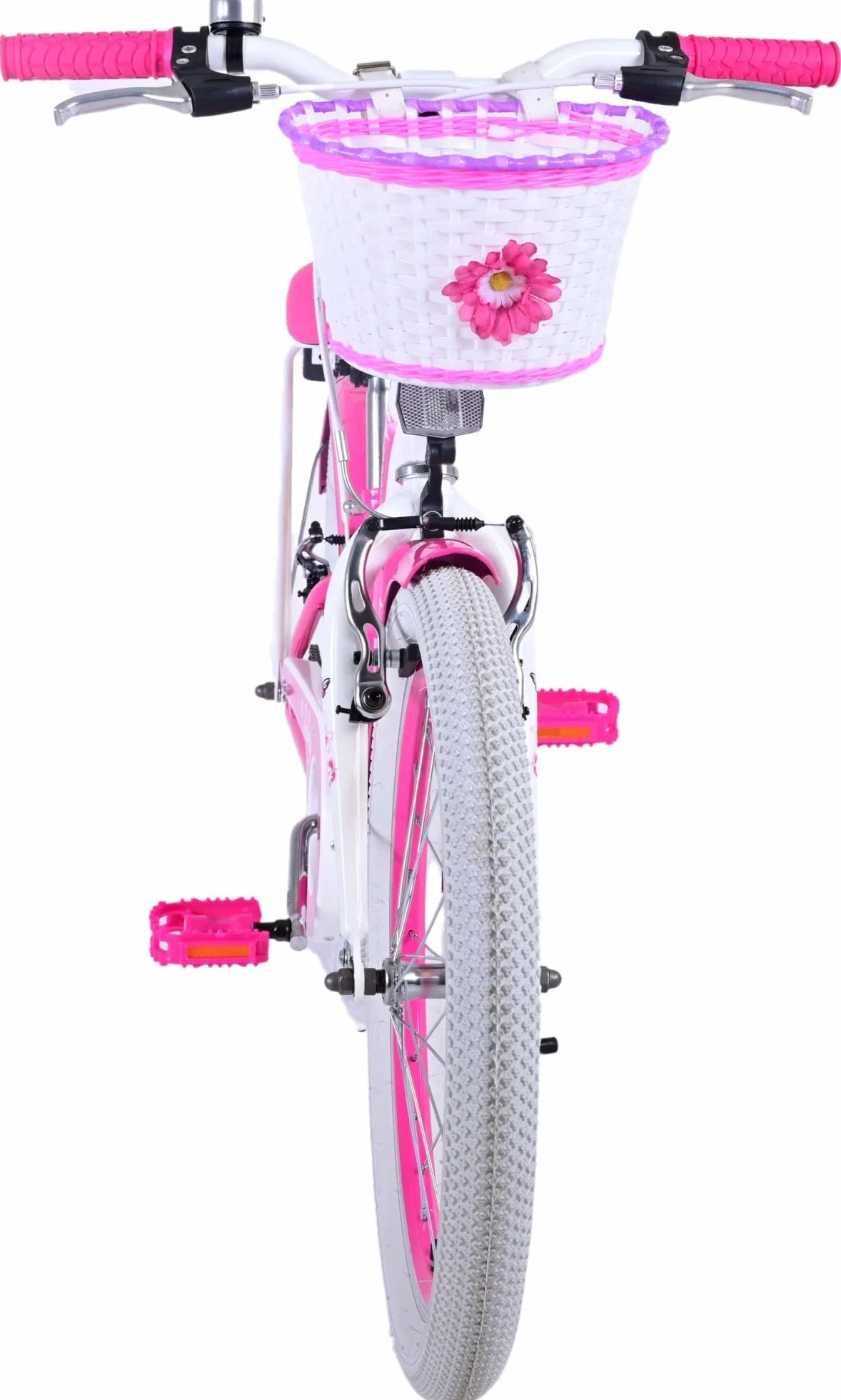 Bicicletta da bambina 20 pollici Lovely con cestino e portapacchi