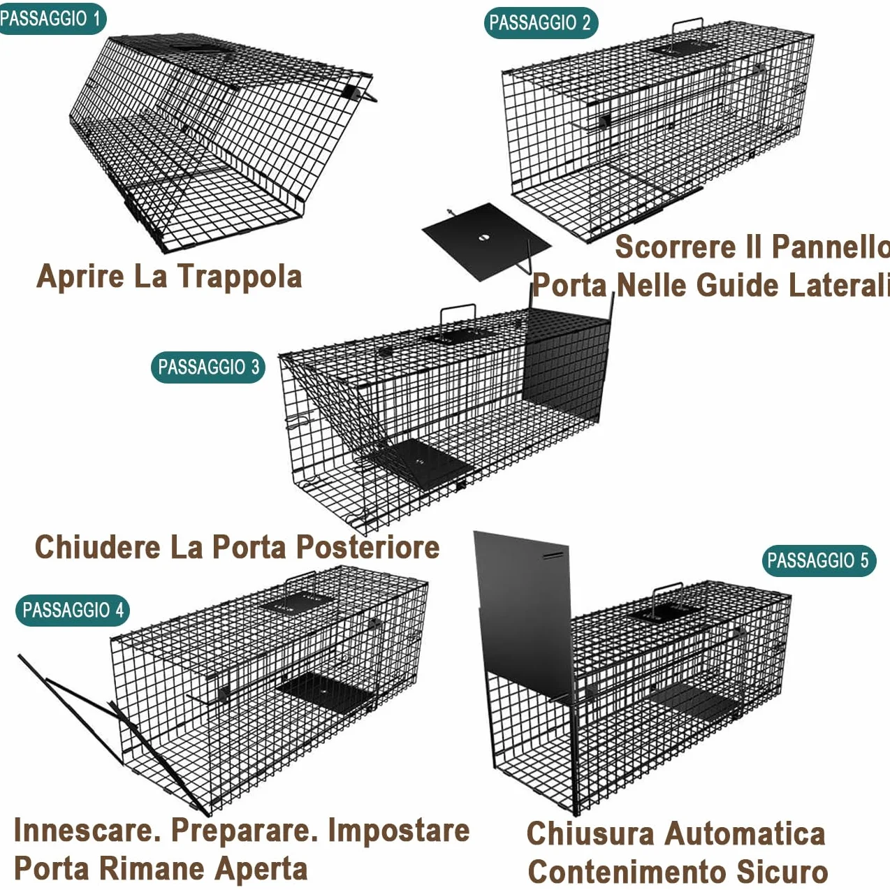 Amagabeli Trappola per topi vivi Gabbia grandi dimensioni cattura topi arvicole criceti Sportello A Caduta