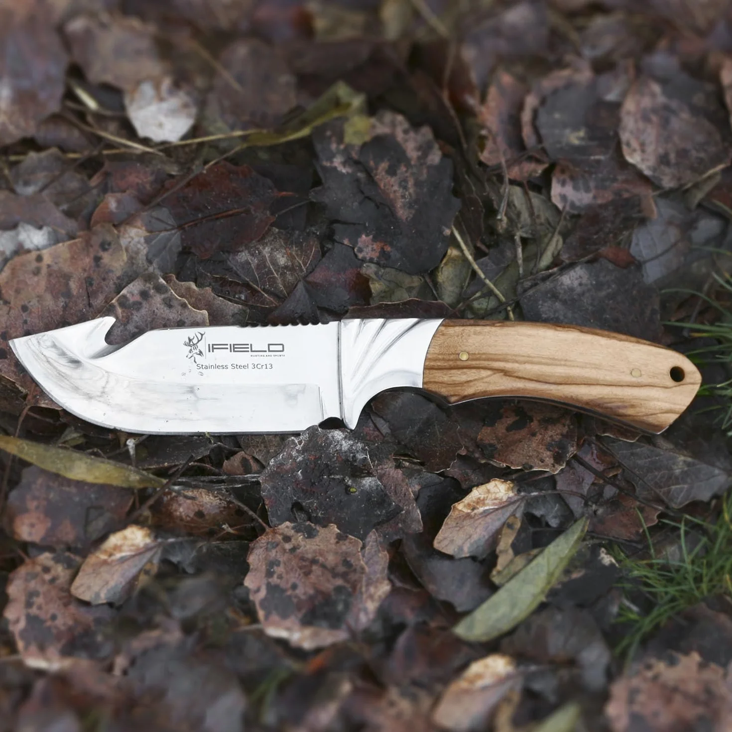 iFIELD EL29010 Coltello multifunzionale per escursioni, caccia e sopravvivenza all'aperto, acciaio inossidabile 3Cr13 con manico in oliva, fodero multiposizione