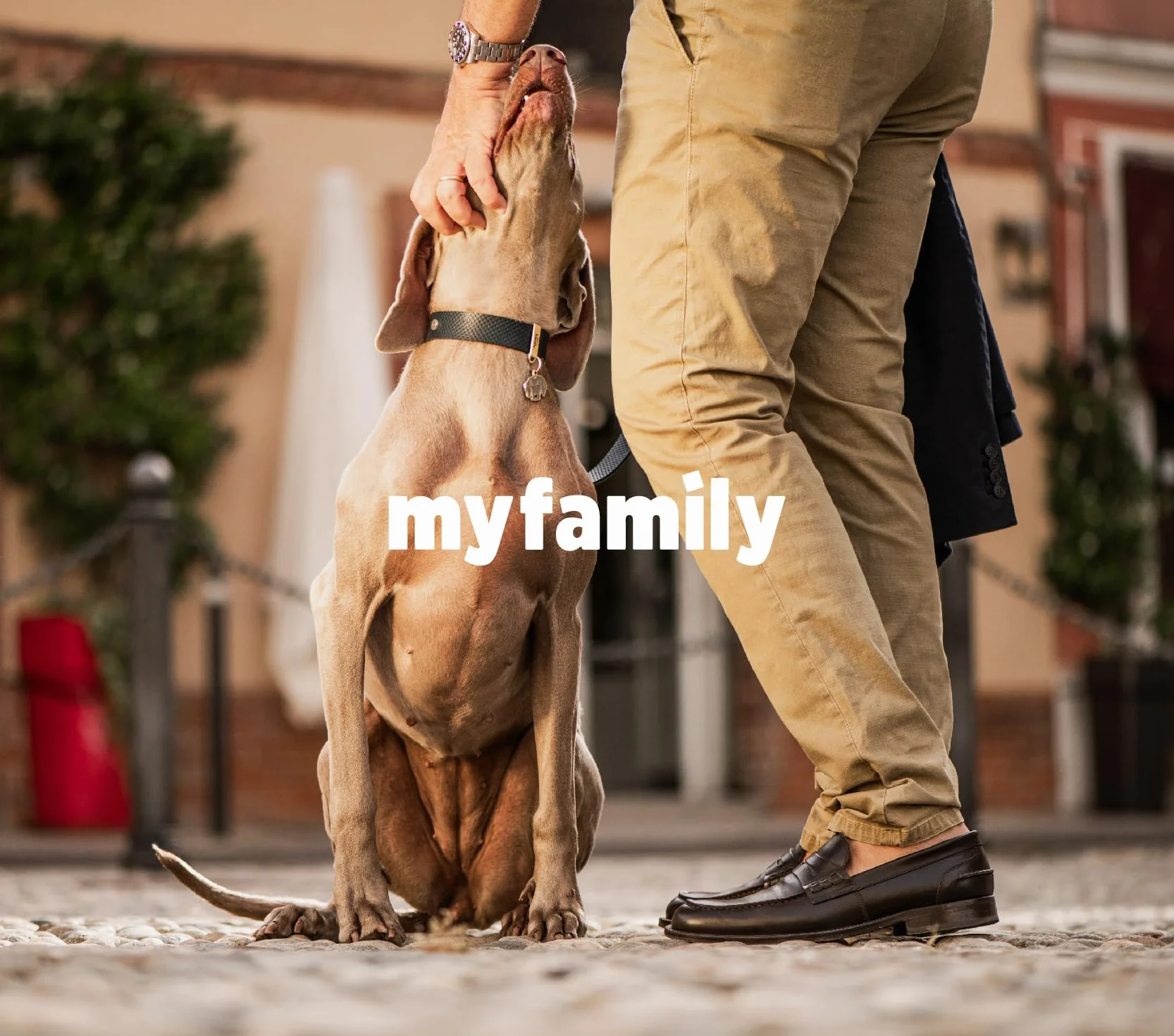 MyFamily Medaglietta per Cane Beagle Targhetta Cane Smaltata a Mano Metallo 27x30 mm