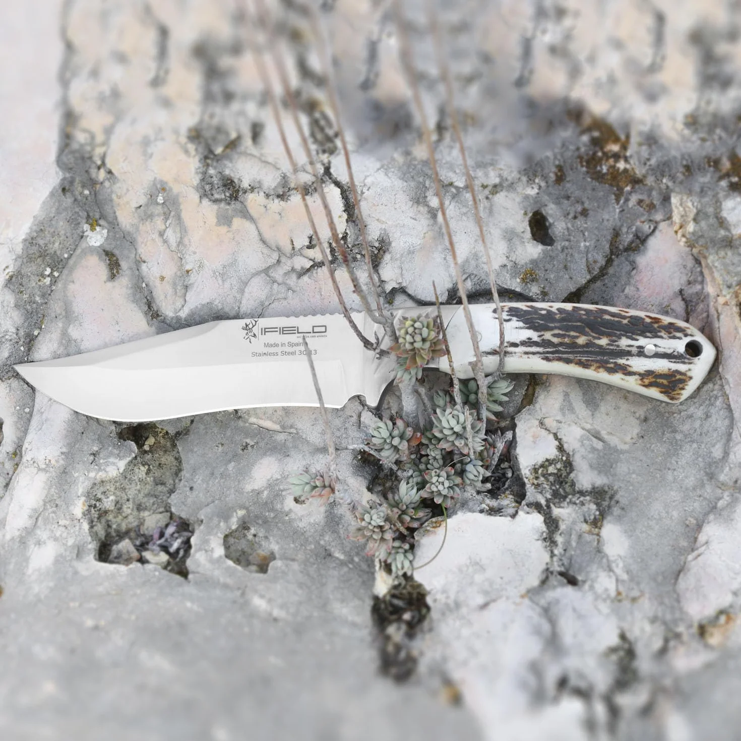 iFIELD EL29013 Multifunzionale escursionismo, caccia e sopravvivenza coltello per l'esterno, Deer Handle, lama in acciaio inox 3Cr13, di alta qualità fodero colore marrone